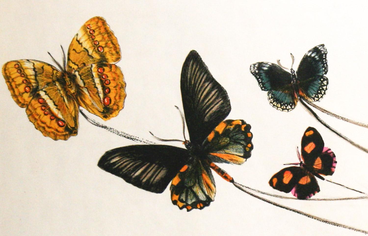 Caballos trotones americanos nº I - Print de Salvador Dalí
