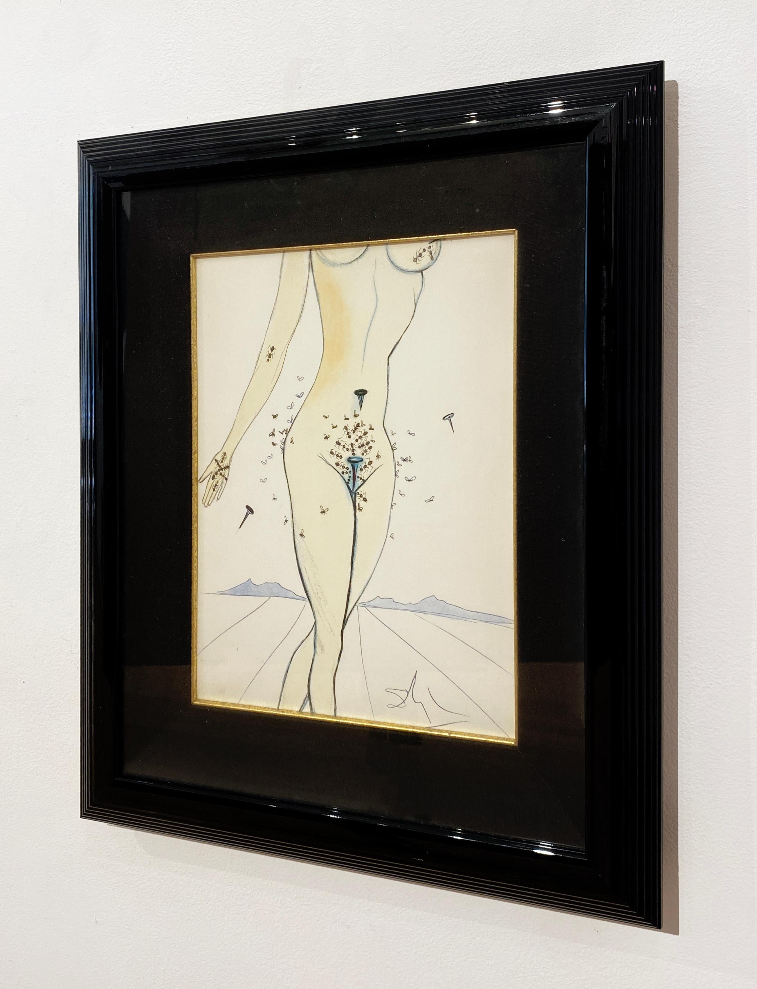 Artist:  Dali, Salvador
Title:  Ants, Snails, and Flies on Nude
Series:  Dali Illustre Casanova
Date:  1967
Medium:  drypoint with added watercolor
Unframed Dimensions: 14.75