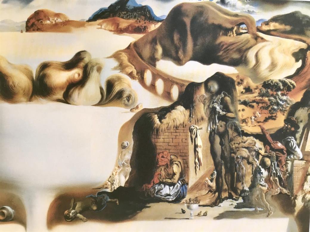 salvador dali visage