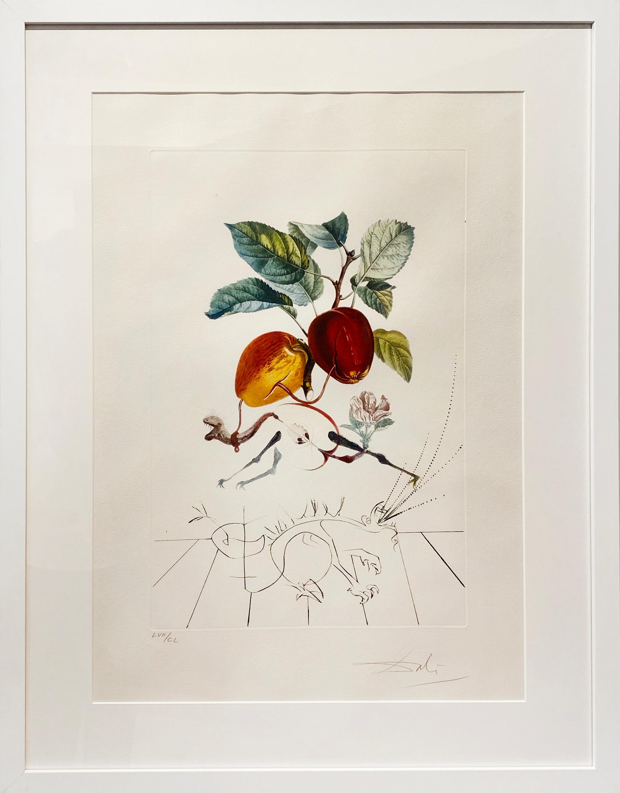 Apple-Eve’s Apple - Print by Salvador Dalí