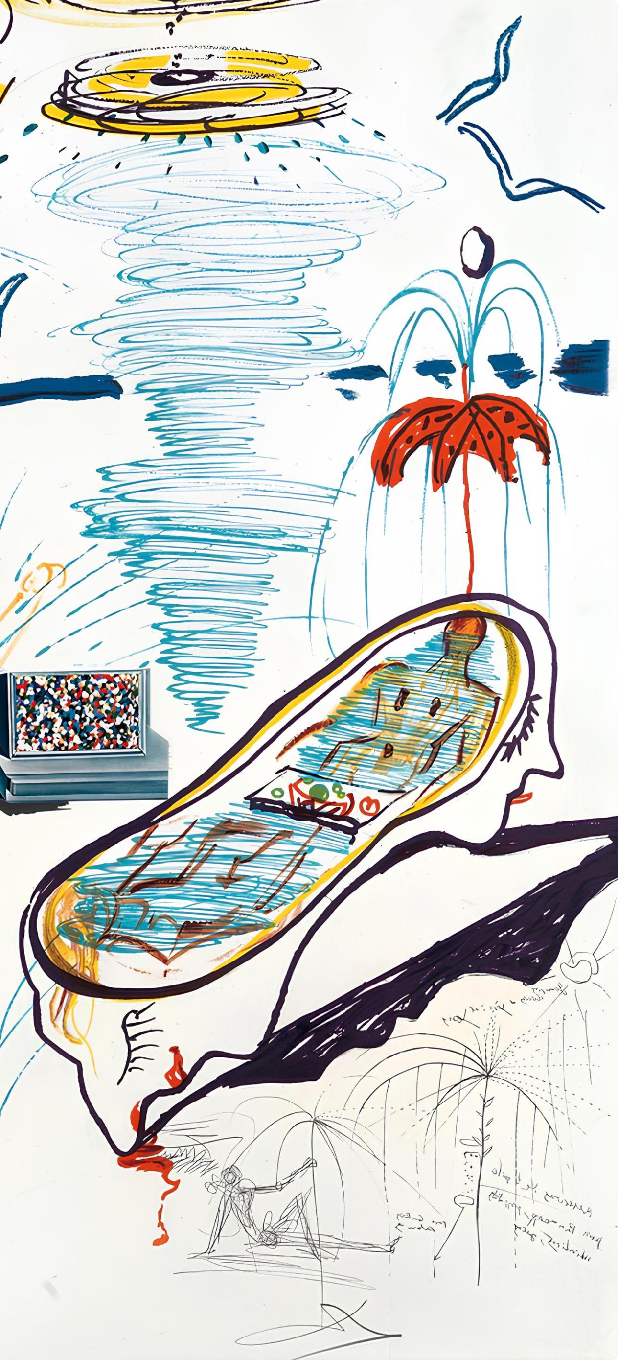 Baignoire à tornade liquide (Michler/Löpsinger 822-831; Feld 75-13) (Grau), Abstract Print, von Salvador Dalí