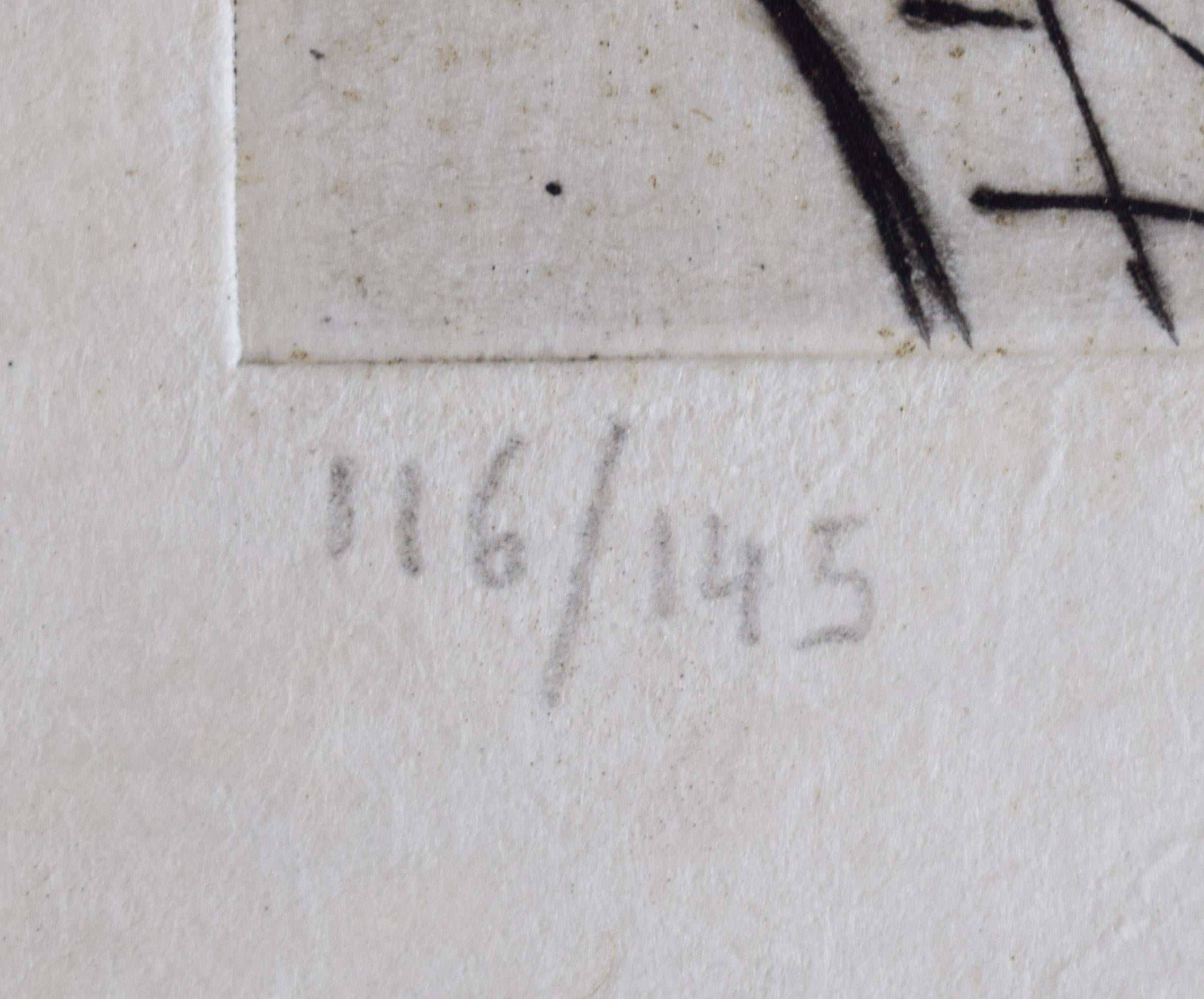 This original hand-coloured etching is hand signed in pencil by the artist 