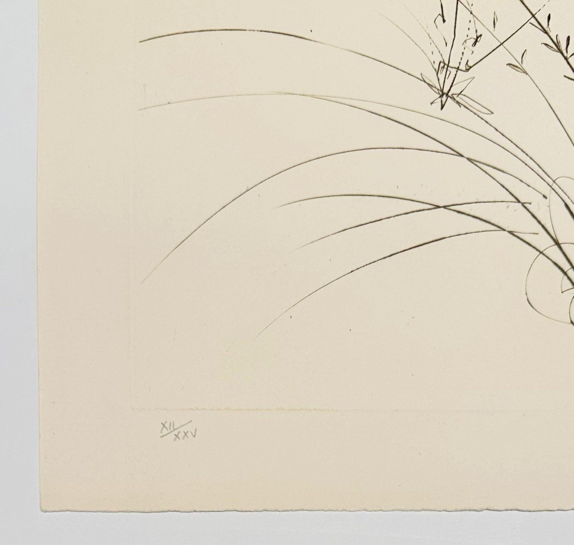 Brother Ogrin, the Hermit, from Tristan and Iseult - Beige Abstract Print by Salvador Dalí