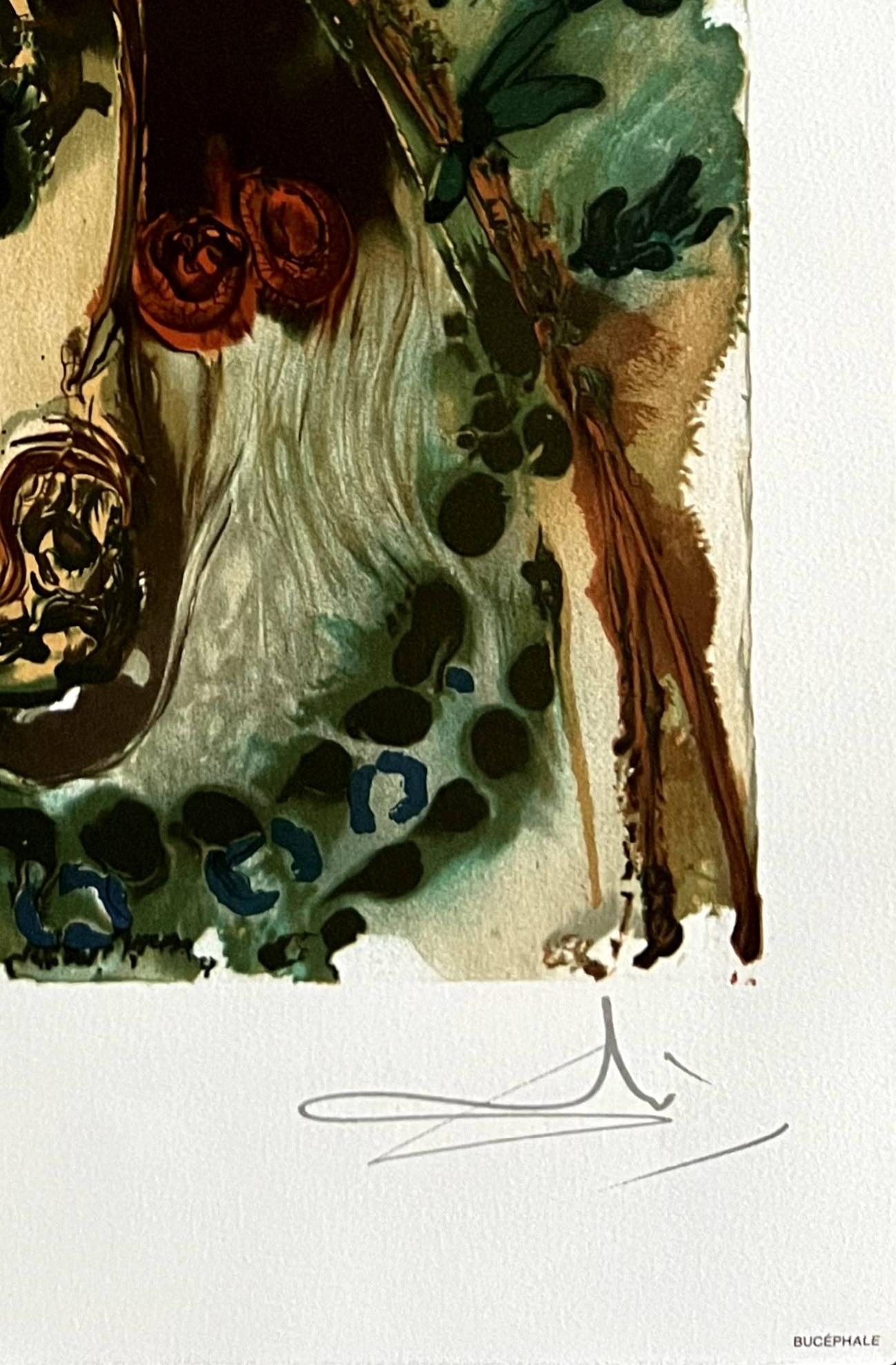 Bucéphale – Print von Salvador Dalí