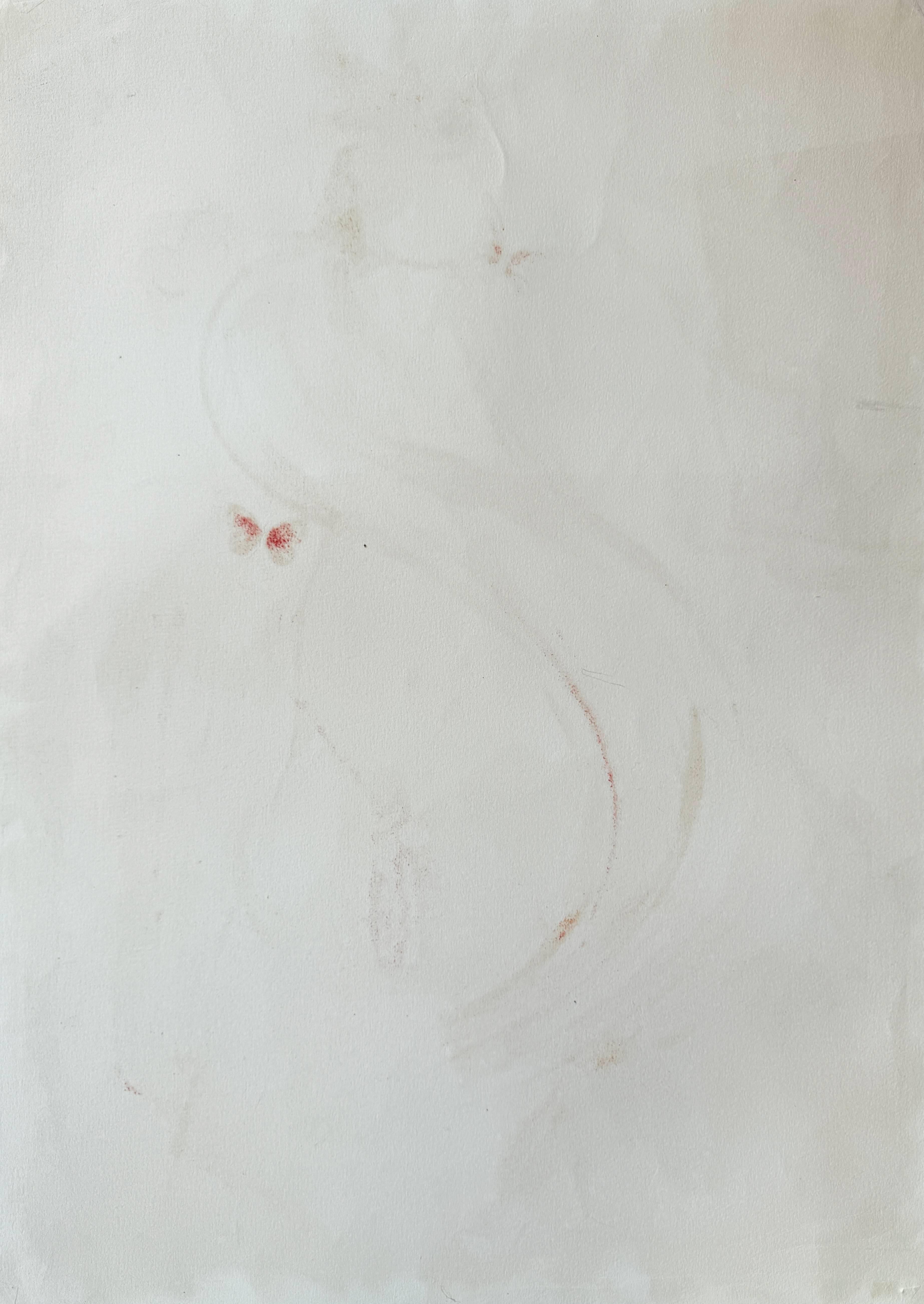 Bullfighter - Surrealist Mixed Media Art by Salvador Dalí