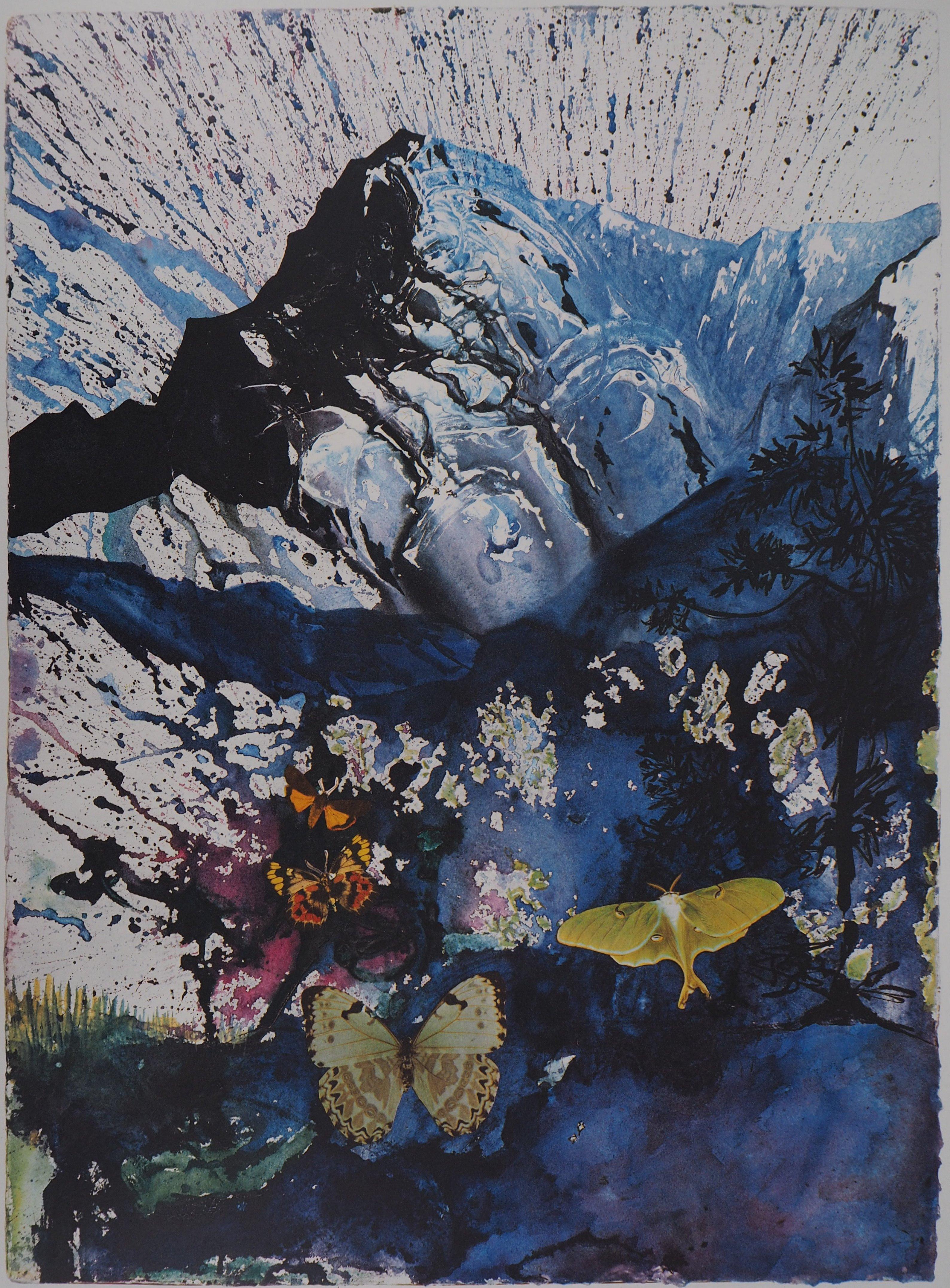Schmetterlingsgarnitur: Les Alpes – Heliogravur – 1969 (Fund #69-2 C) (Surrealismus), Print, von Salvador Dalí