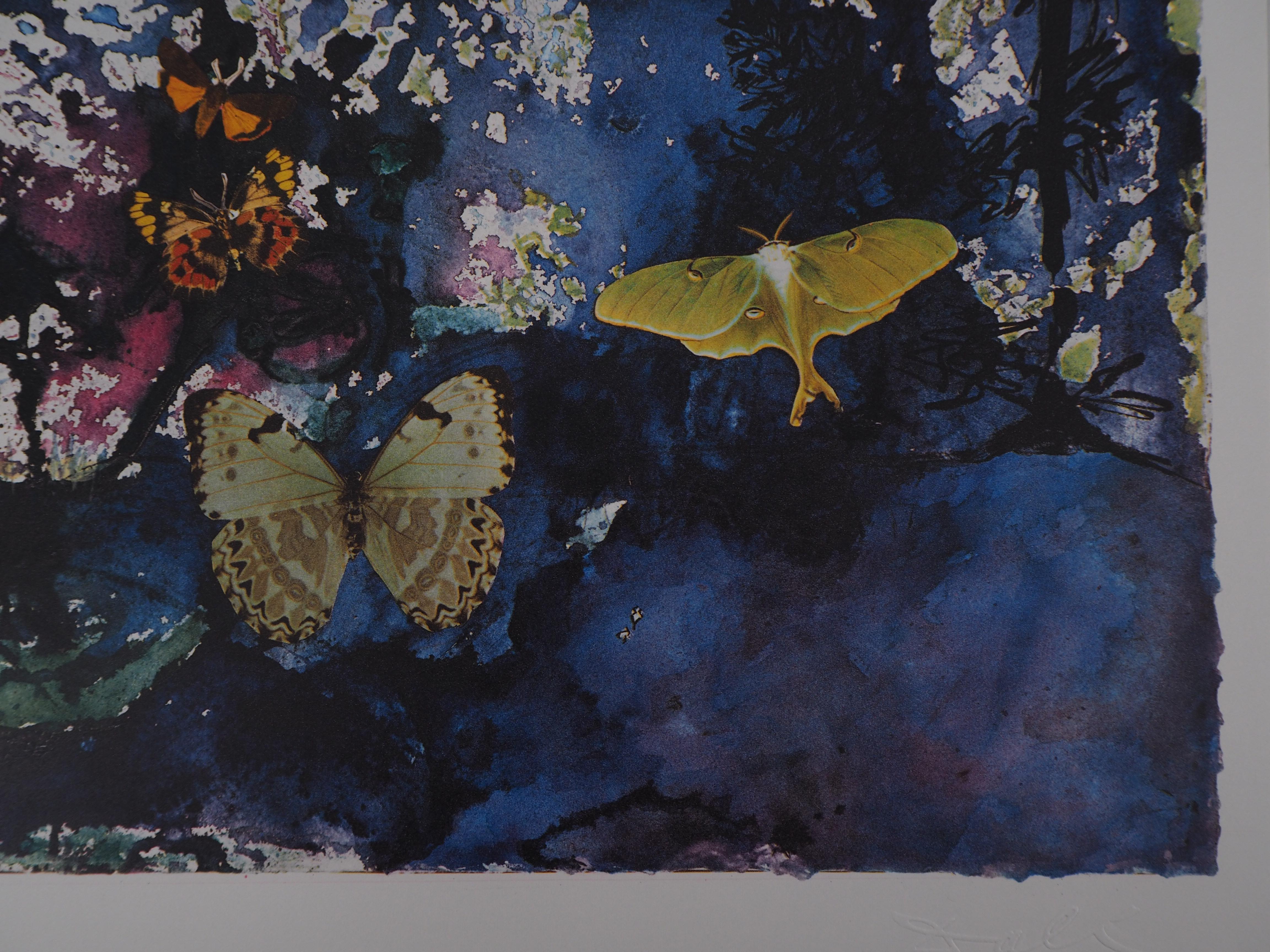 Salvador DALI (1904-1969)
Schmetterlingssuite : Les Alpes, 1969

Heliogravüre / Photogravüre nach Originalentwurf von Dali
Blindstempel Signatur unten rechts
Nummeriert / 1700 Exemplare
Gedruckt in der Dräger-Werkstatt
Auf Vellum 53,5 x 37 cm (ca.