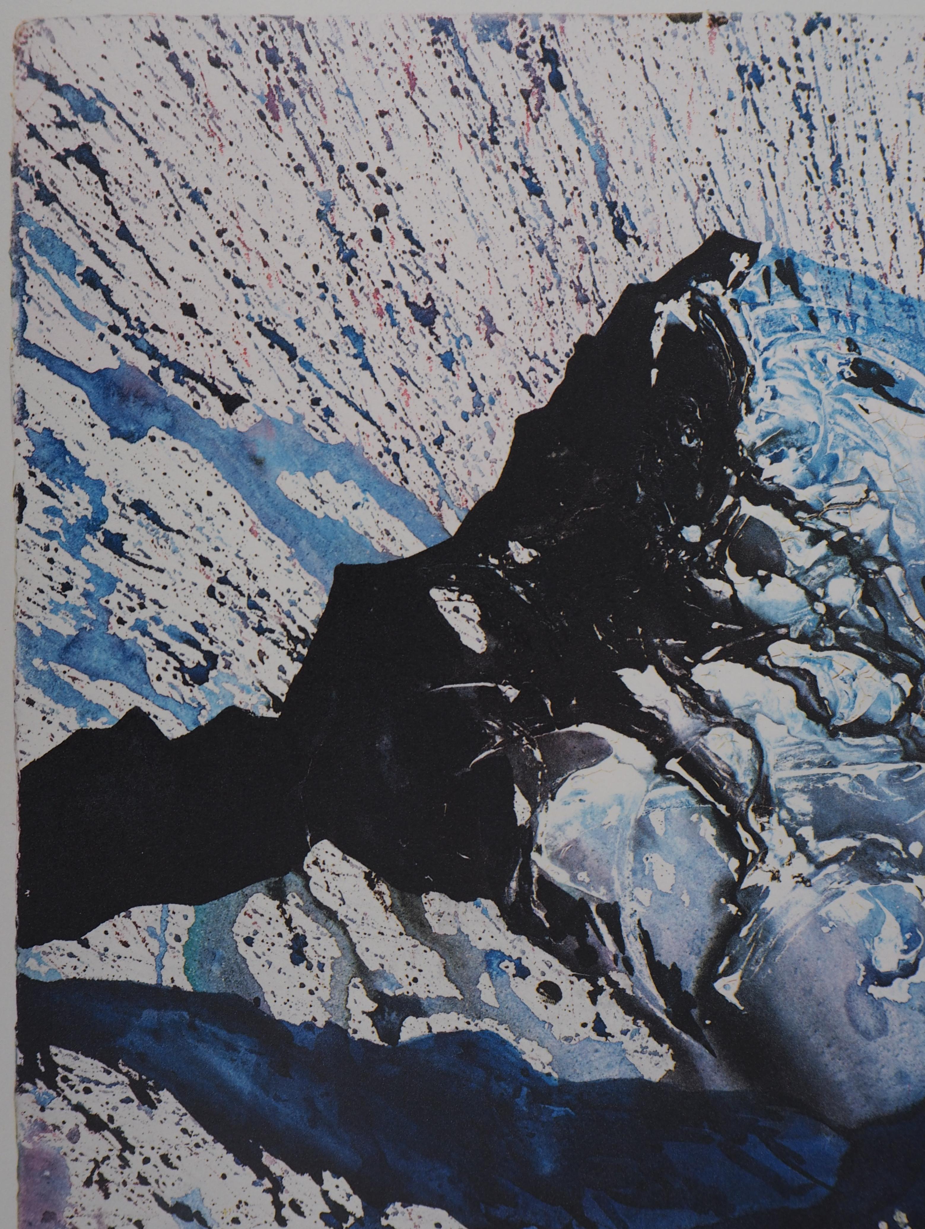 Schmetterlingsgarnitur: Les Alpes – Heliogravur – 1969 (Fund #69-2 C) im Angebot 1