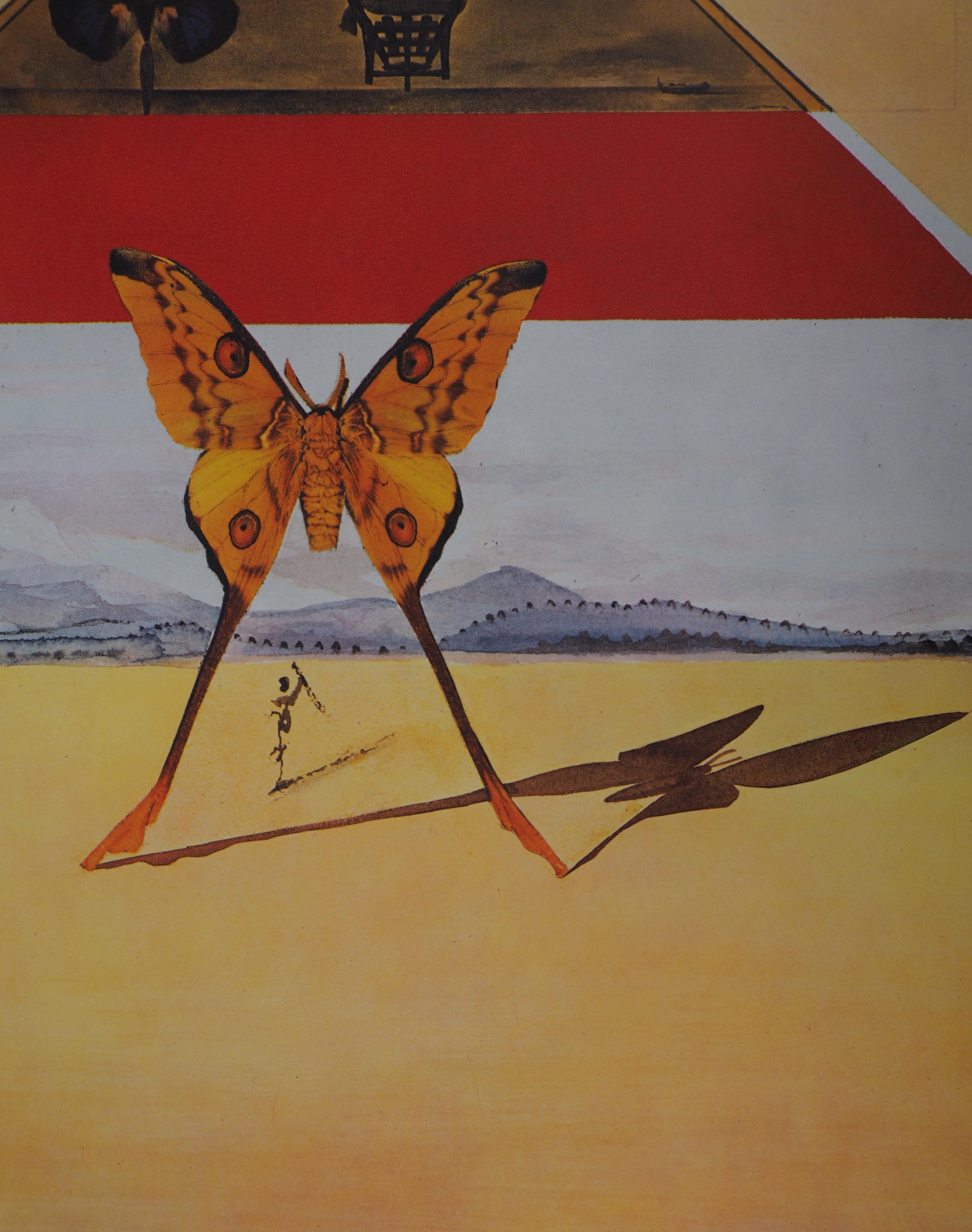Schmetterlingsgarnitur: Roussillon – Heliogravur – 1969 (Abb. #69-2 E) im Angebot 1