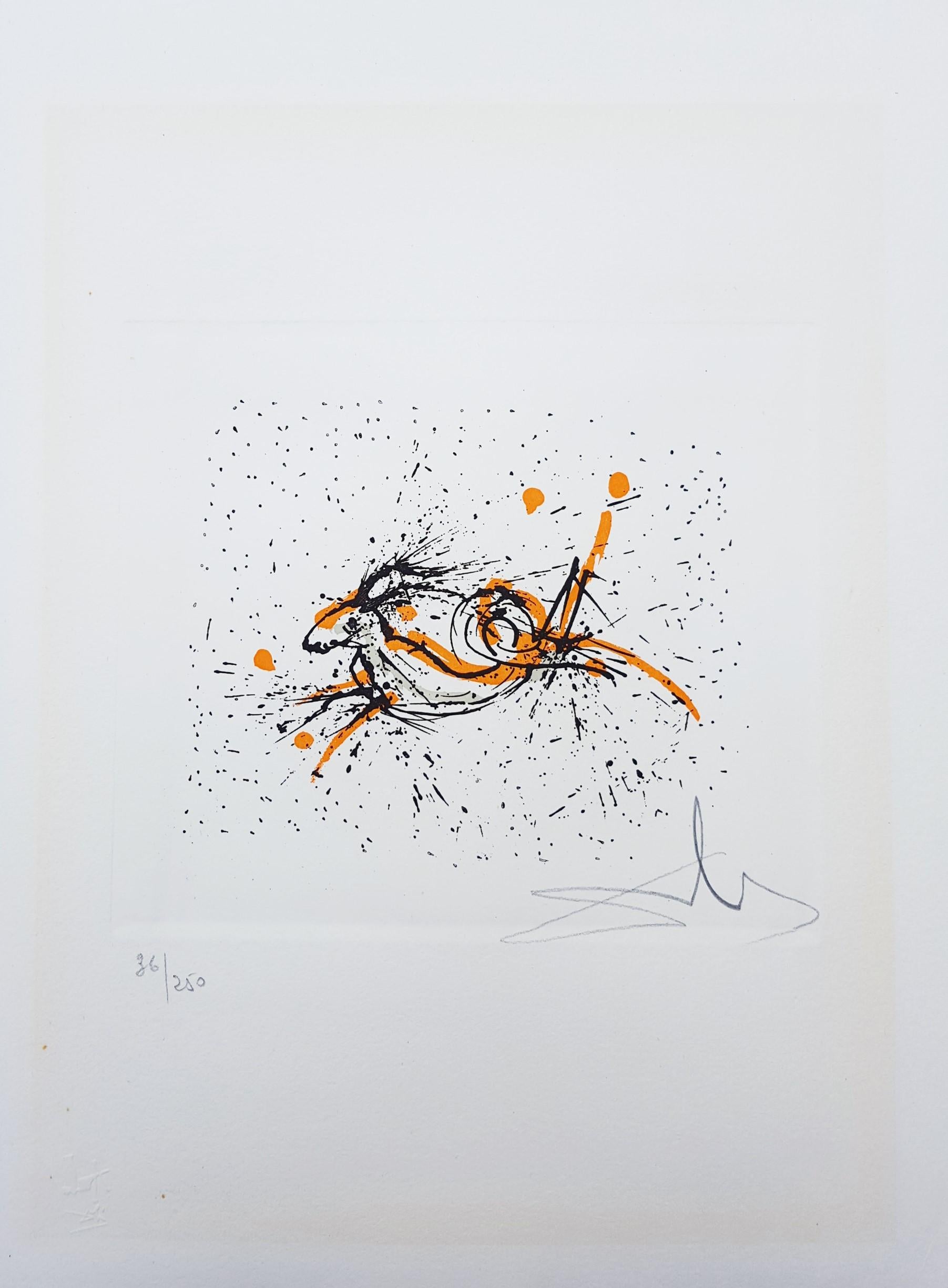 salvador dali zodiac sign