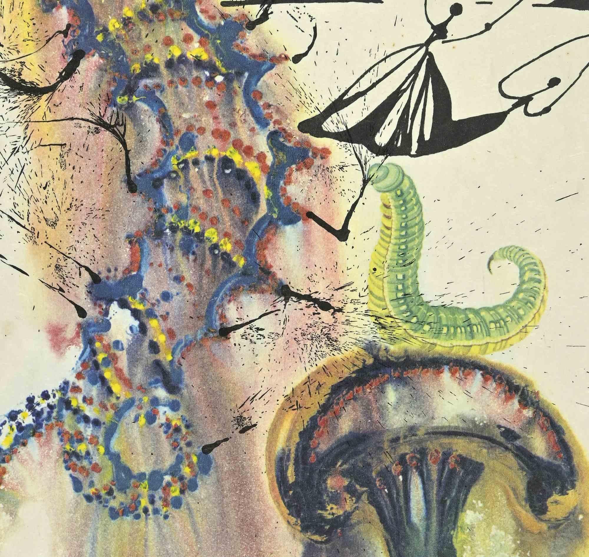 Bruco - Eliografia da 