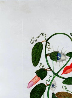 Cobea (Pisum sensuale) (Cobaea)