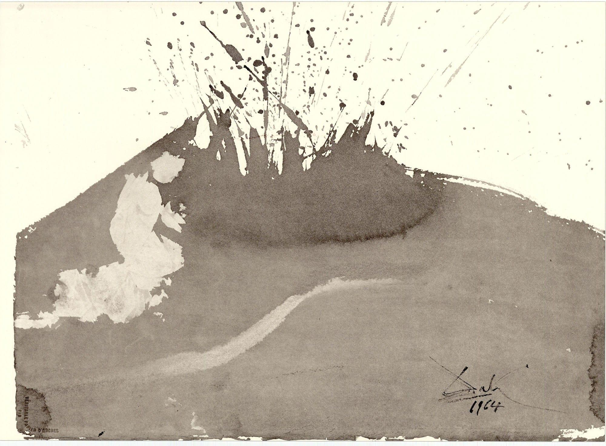 Litografia a colori su carta vélin Fabriano charta ex meris pannis 