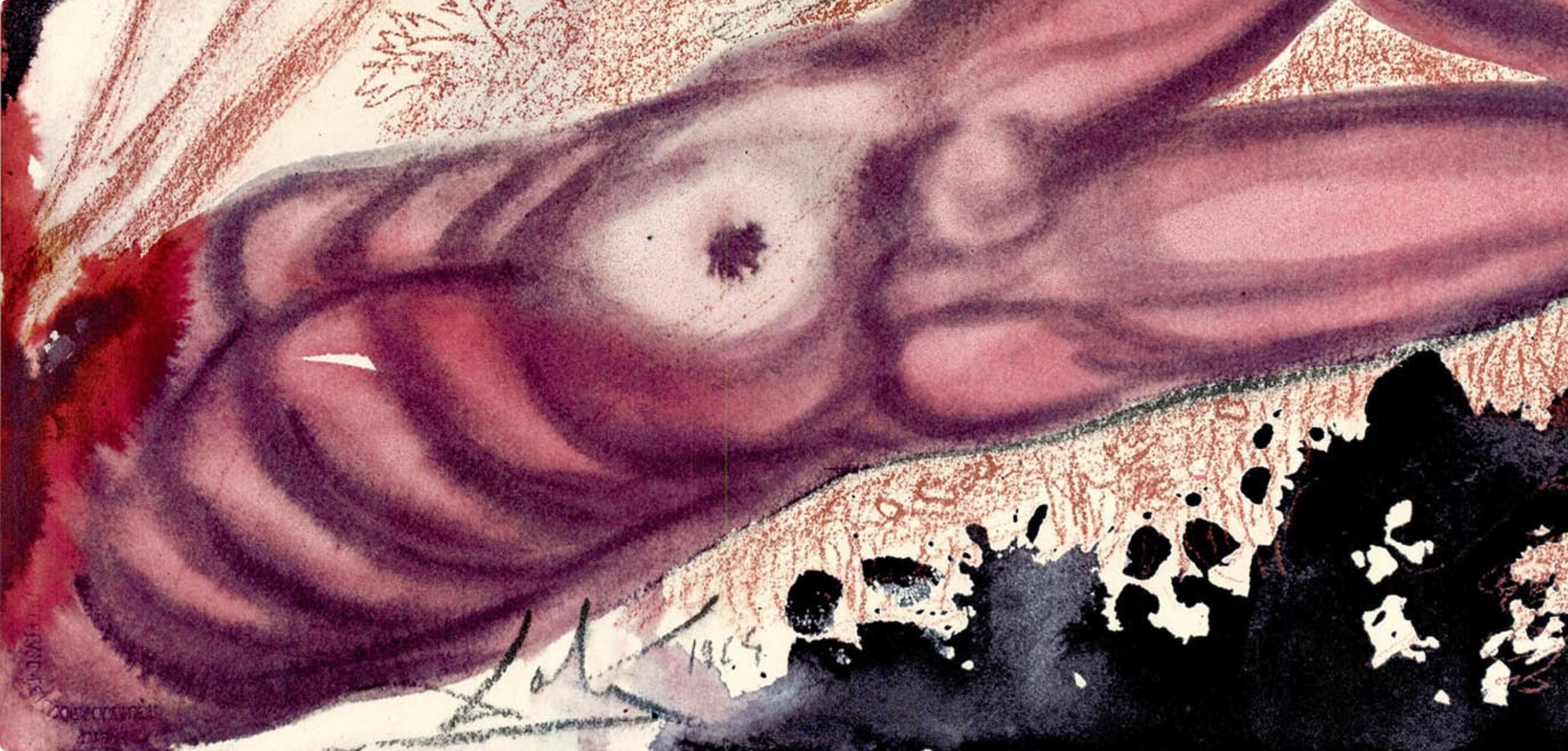 Litografia a colori su carta vélin Fabriano charta ex meris pannis 