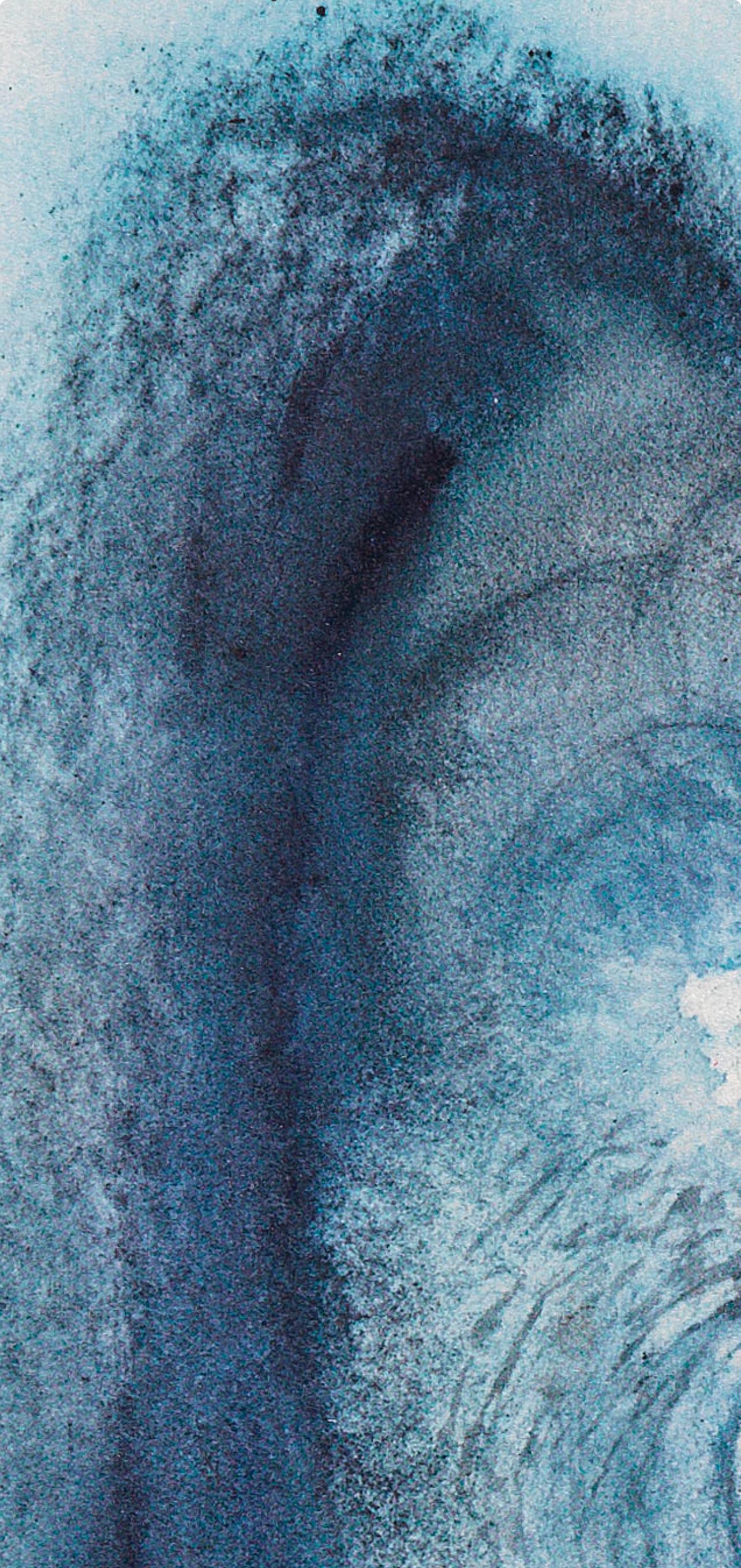 Farblithographie auf Vélin Fabriano charta ex meris pannis 