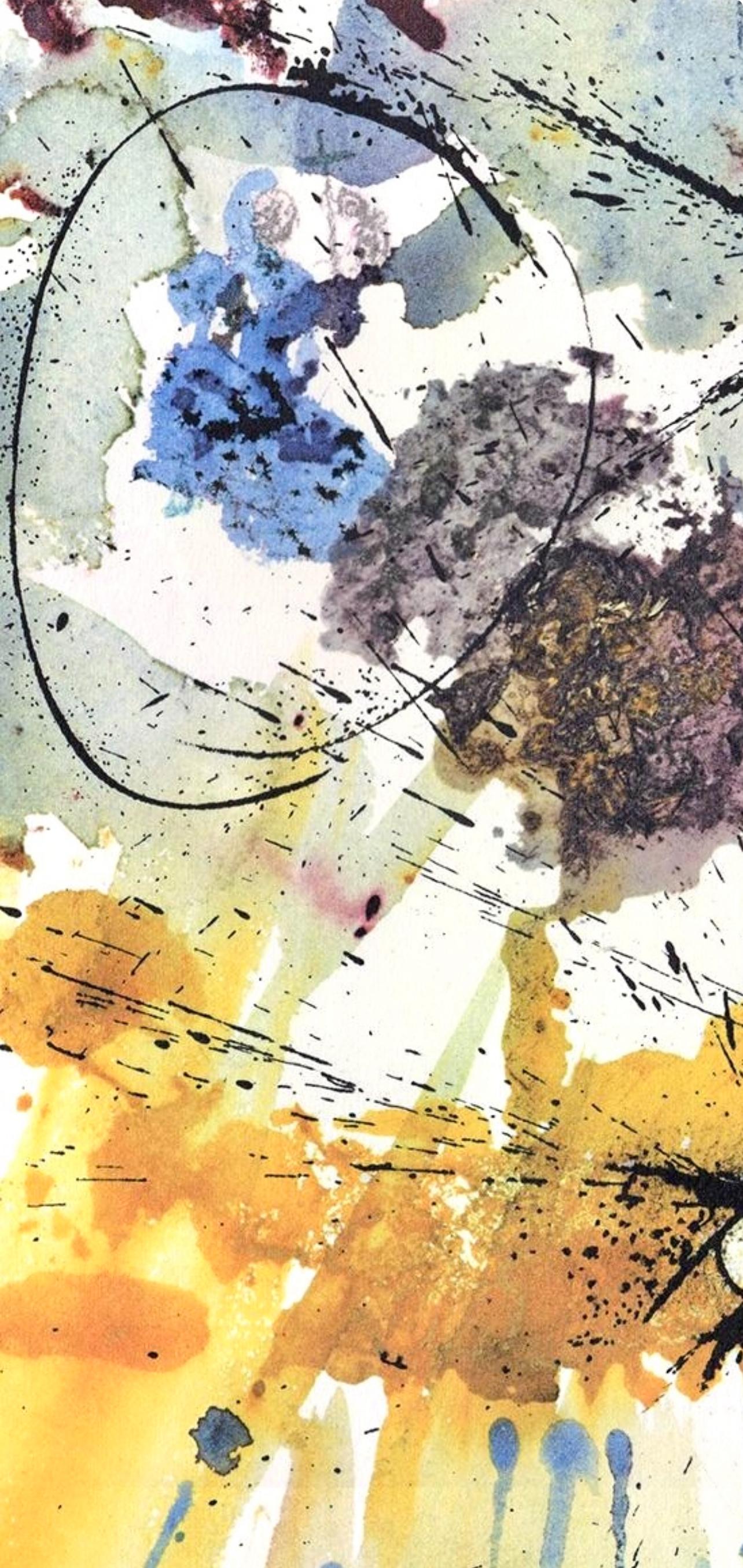Litografia a colori su carta vélin Fabriano charta ex meris pannis 
