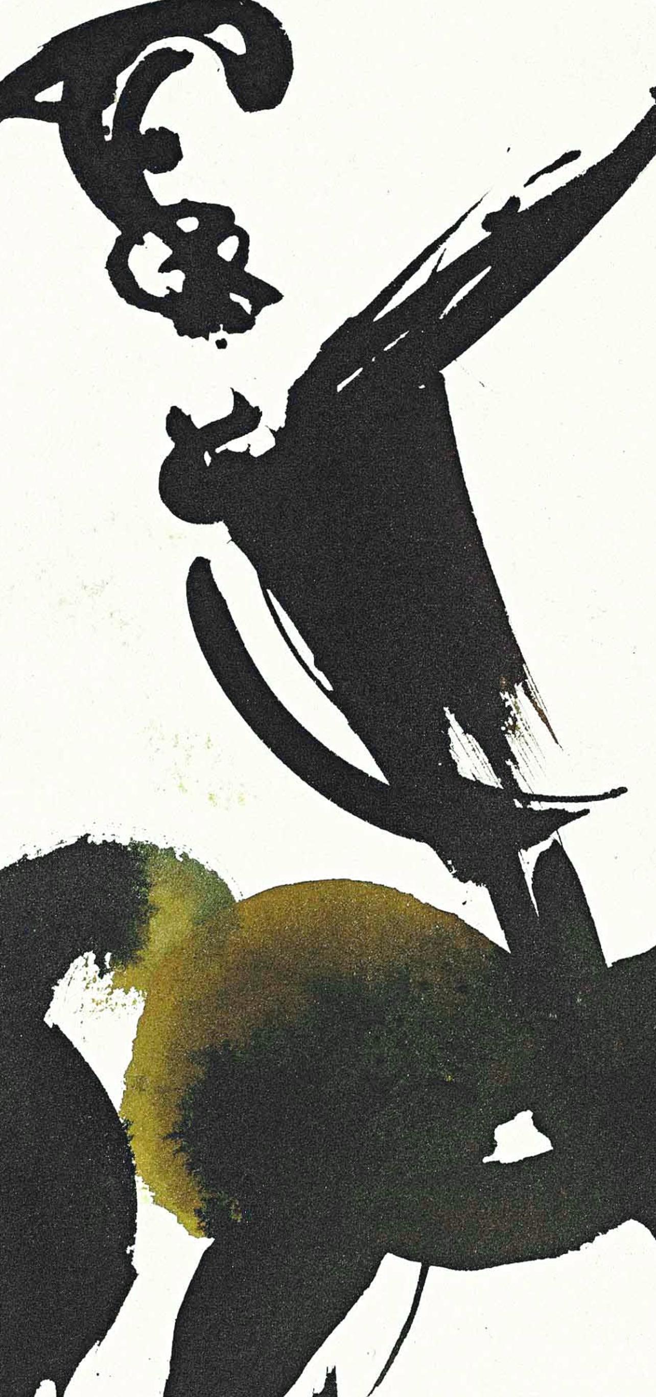 Lithograph in colors on vélin Fabriano charta ex meris pannis 