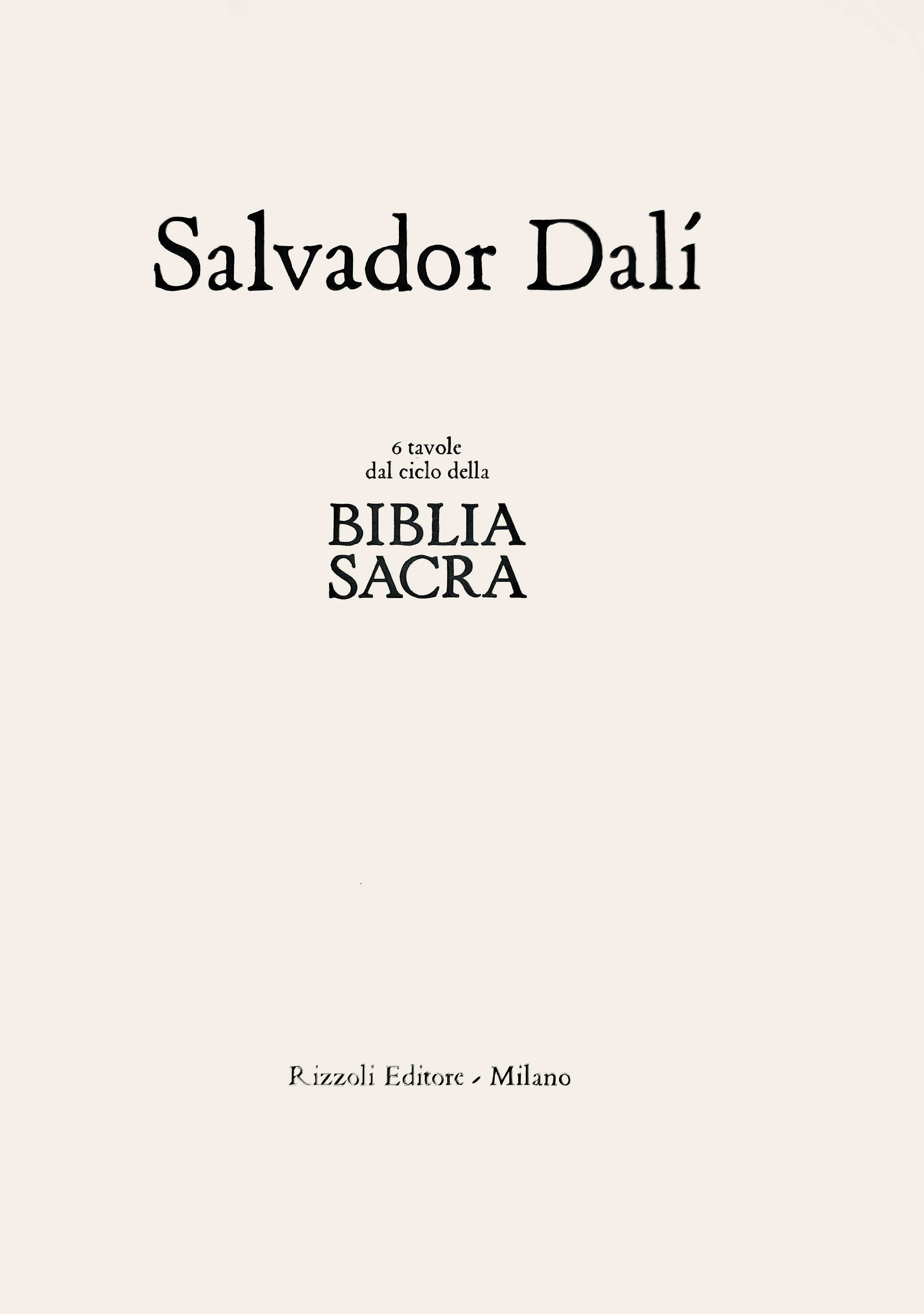 Composizione (Campo 69-3; M/L. 1600), VI tavole dal ciclo della, Biblia Sacra in vendita 1