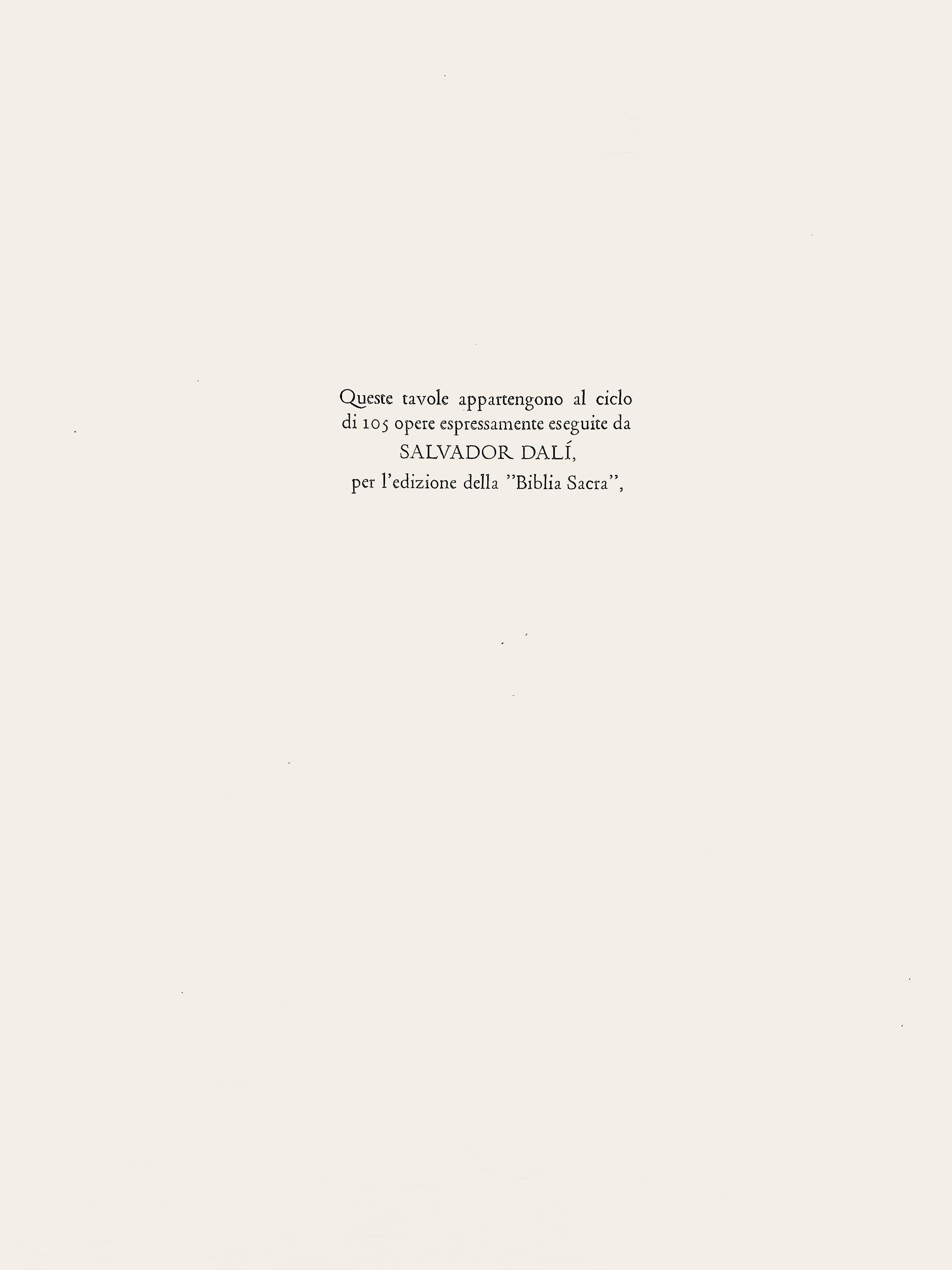 Composition (Field 69-3 ; M/L. 1600), VI tavole dal Ciclo della, Biblia Sacra en vente 2
