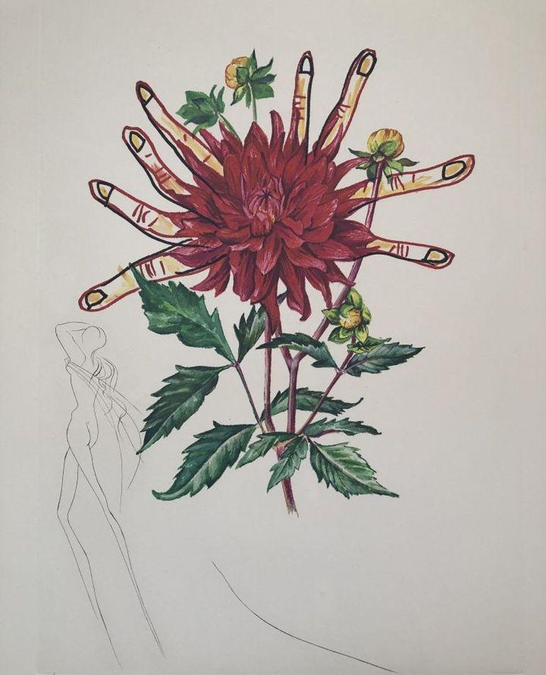 Dahlia Rapax - Surrealistic Florals - Original Etching Handsigned N° - Print by Salvador Dalí