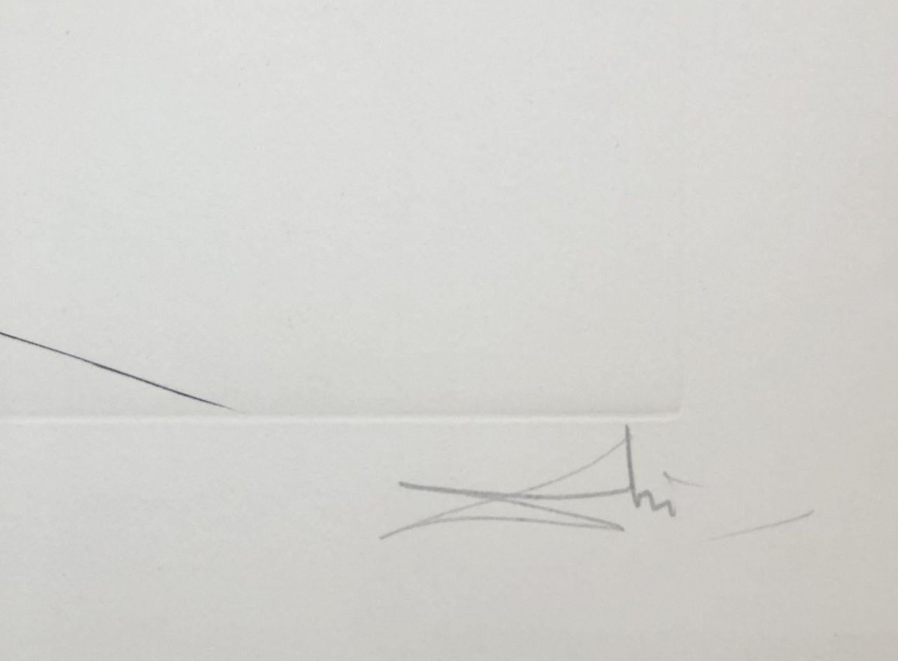 Salvador DALI
Dahlia Rapax (Surrealistic florals)

Original etching, 1972
Handsigned in pencil
Numbered / 350 copies
On heavy Arches vellum, size 75 x 56 cm (c. 29,5 x 22 in)
Very good condition

REFERENCE : Catalog raisonné Field 72-7H / Lopsinger