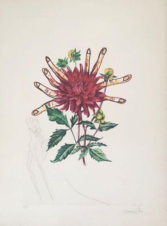 Dahlia Rapax - Surrealistic Florals - Original Etching Handsigned N°