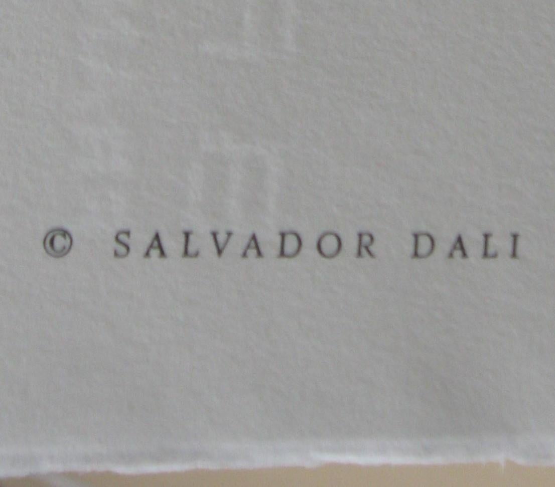 Dan (Doce Tribus de Israel), 1973 en venta 1
