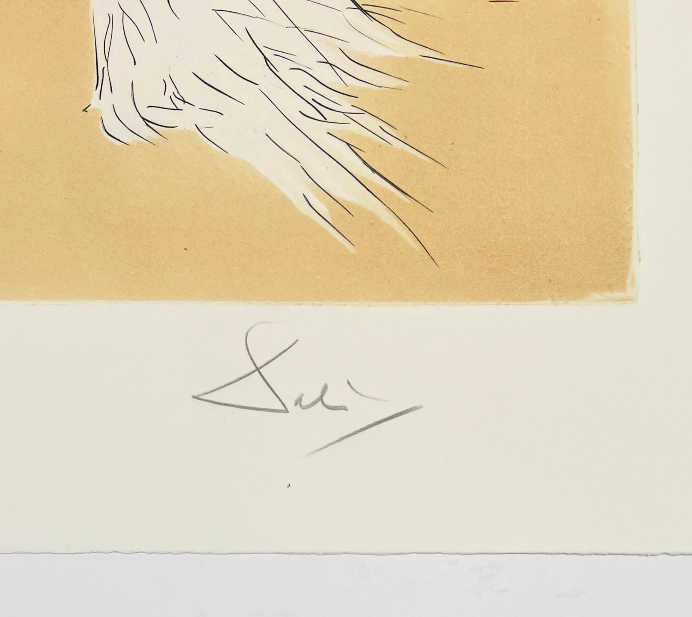 Désert fabuleux di dalia, da Neuf Paysages - Print Surrealismo di Salvador Dalí