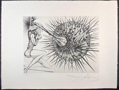 Don Quichotte et l'oursin