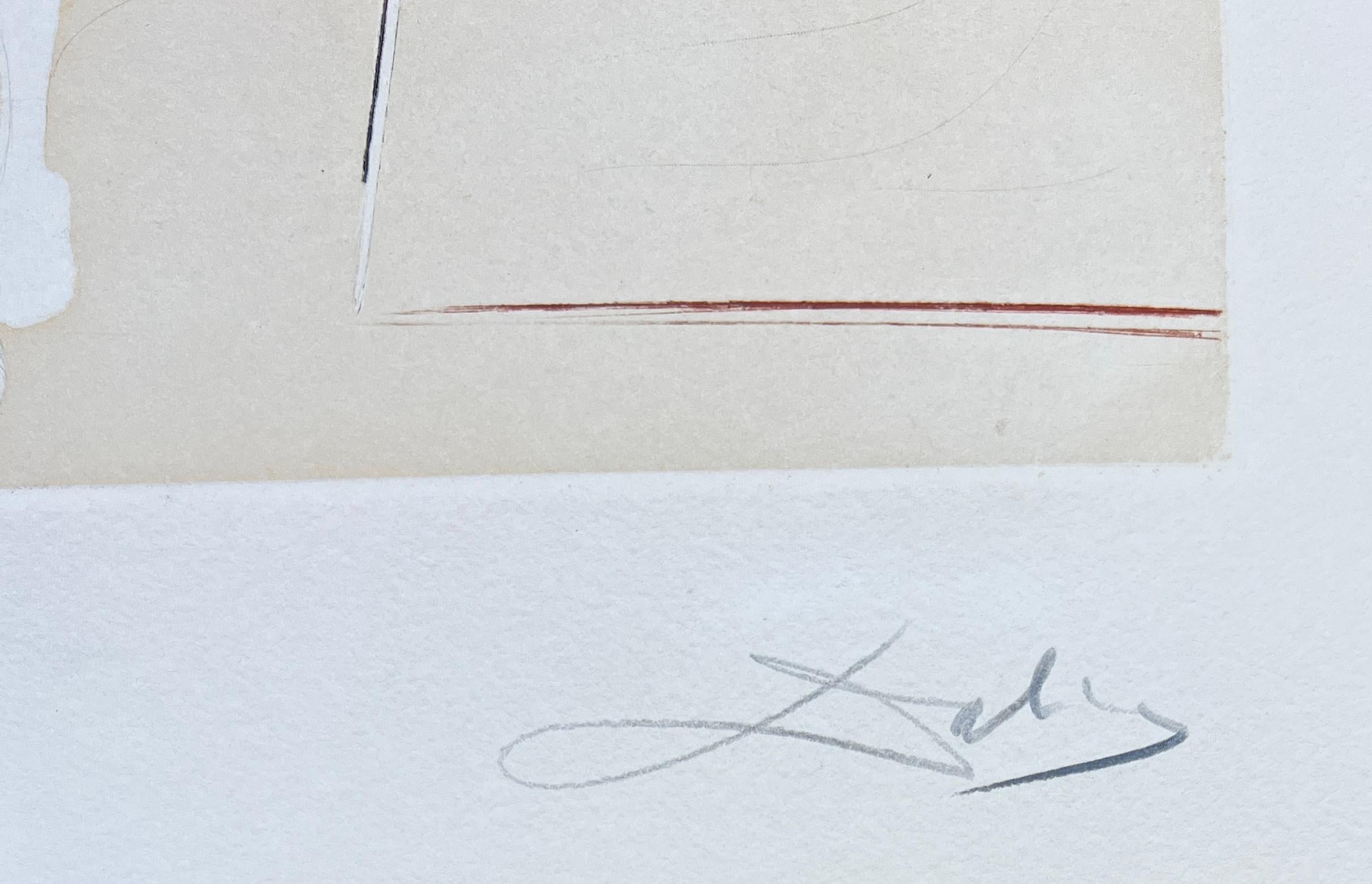 Etching and aquatint on Auvergne paper, edited in 1980.
Limited edition of 200 copies, numbered 129/200 in lower left.
Hand signed by Salvador Dali in pencil in the lower right margin.

Paper size: : 76 x 56 cm 
Framed size: 94 x 74,5 x 6,5