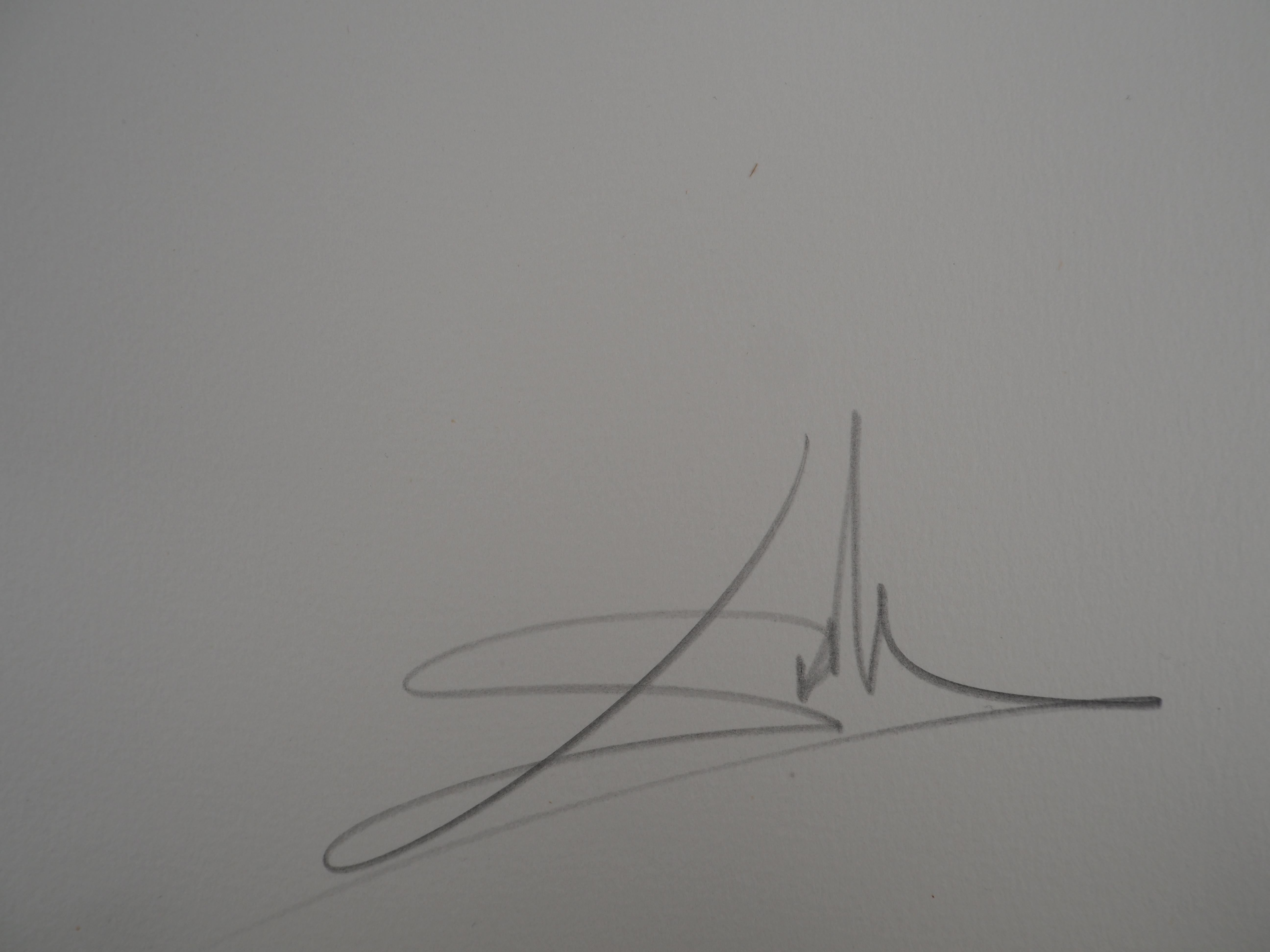 Don Quijote : Dama Dulcinea  - Grabado original, Firmado a mano - Campo #80-1 B en venta 2