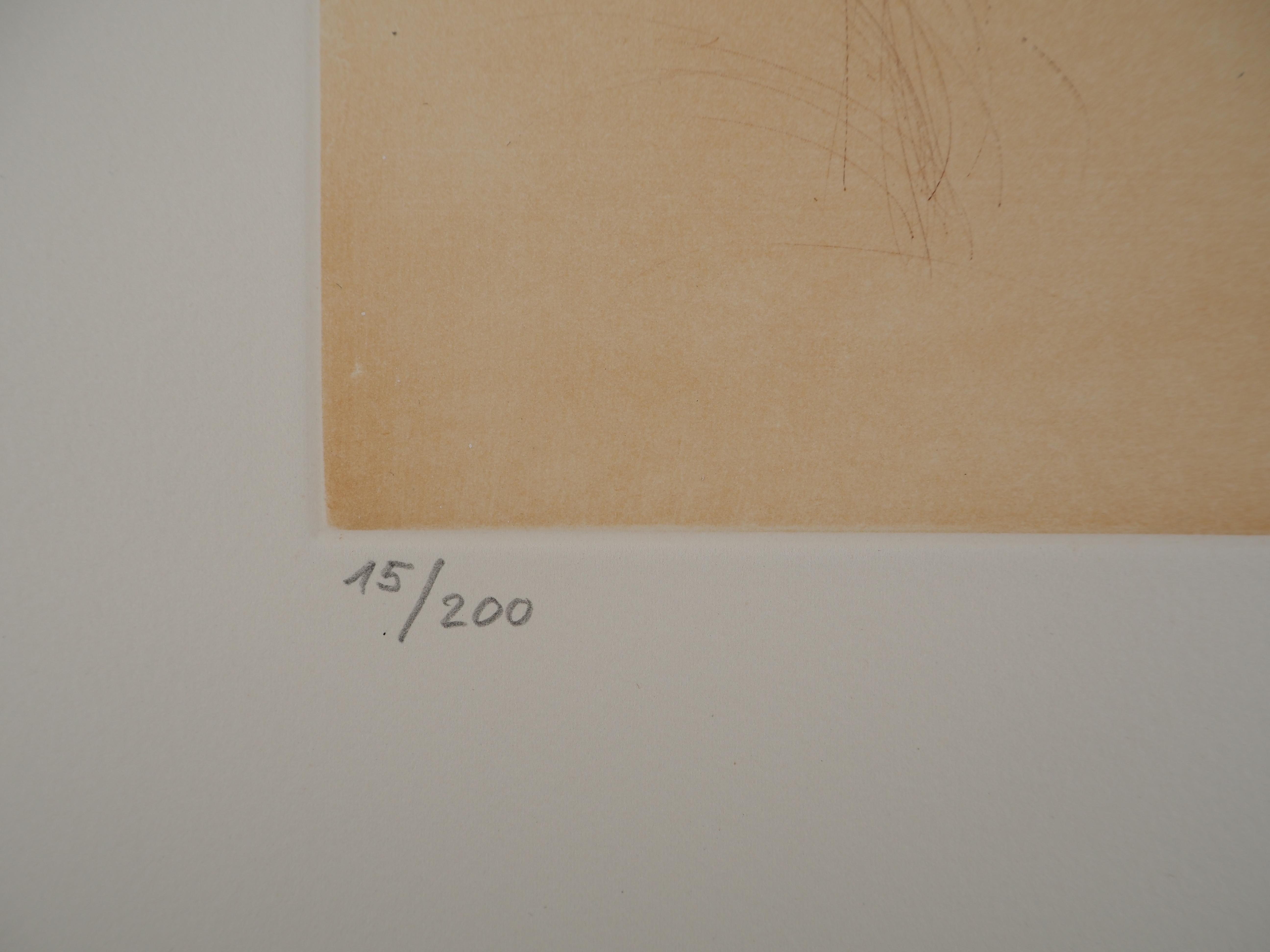 Don Quijote - Grabado original FIRMADO A MANO y Numerado / 200 (Campo #68-1) en venta 6