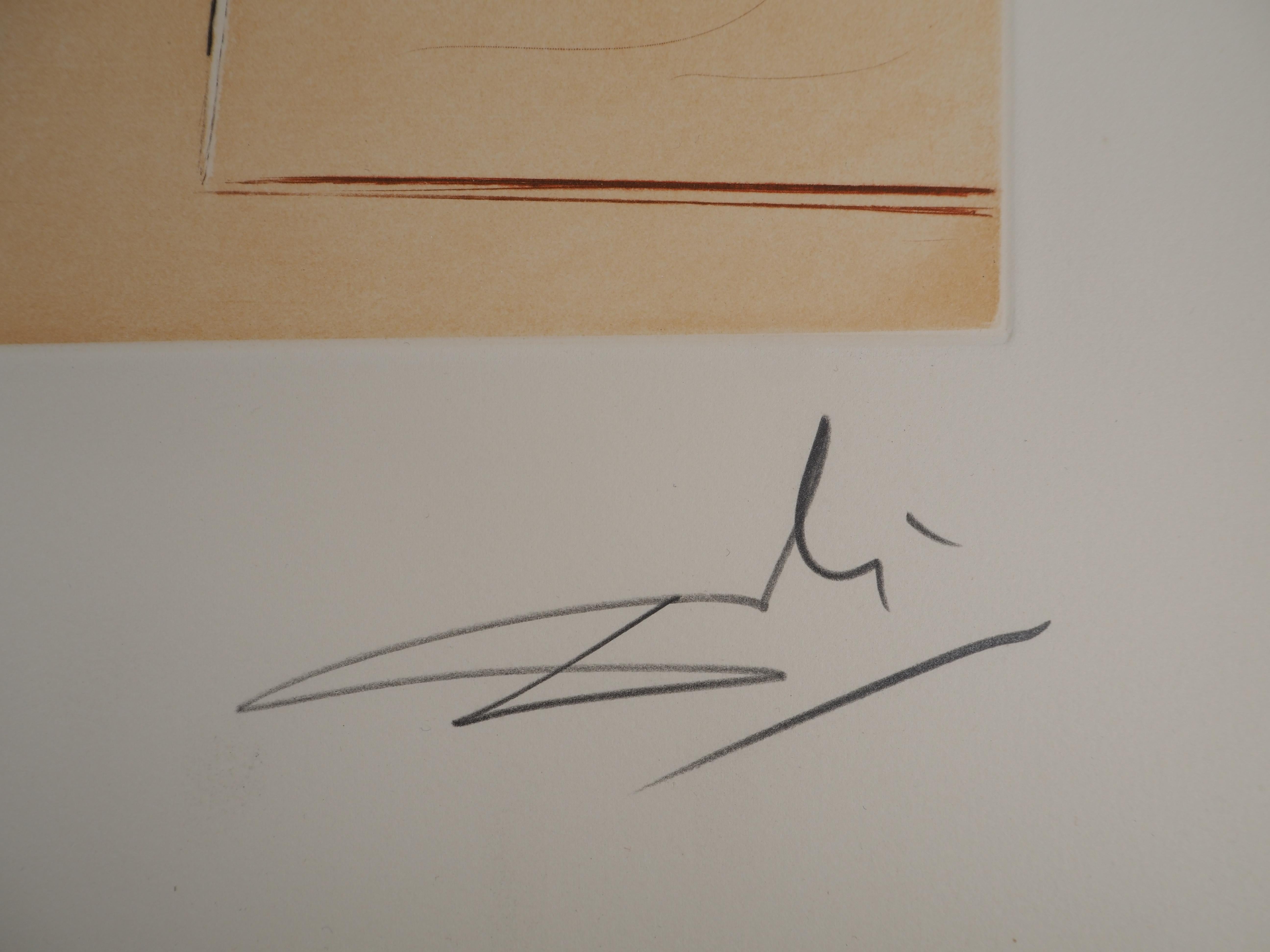 Don Quijote - Grabado original FIRMADO A MANO y Numerado / 200 (Campo #68-1) - Print de Salvador Dalí
