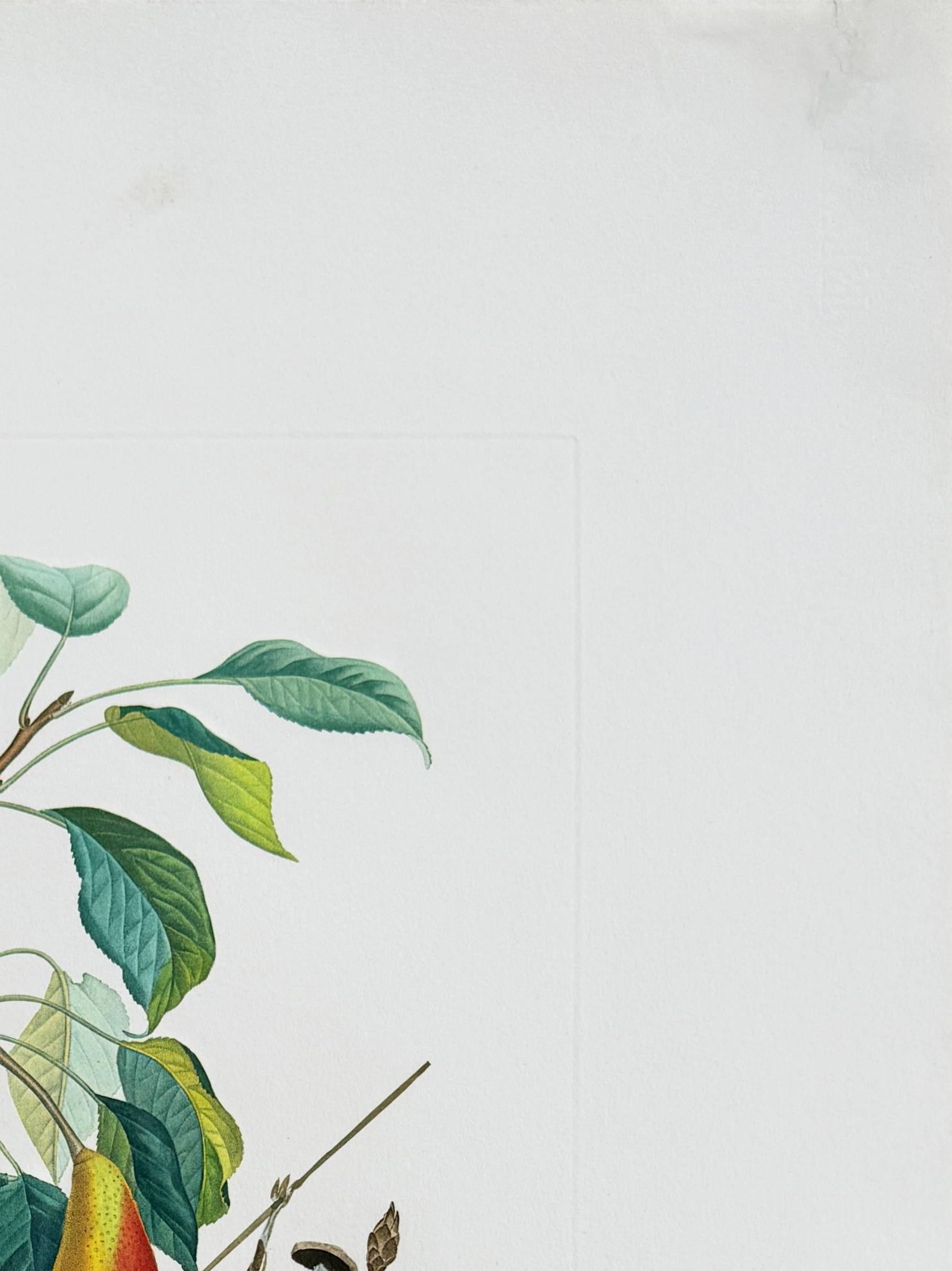 Poire de Don Quichotte de la suite Flordali - Gris Print par Salvador Dalí