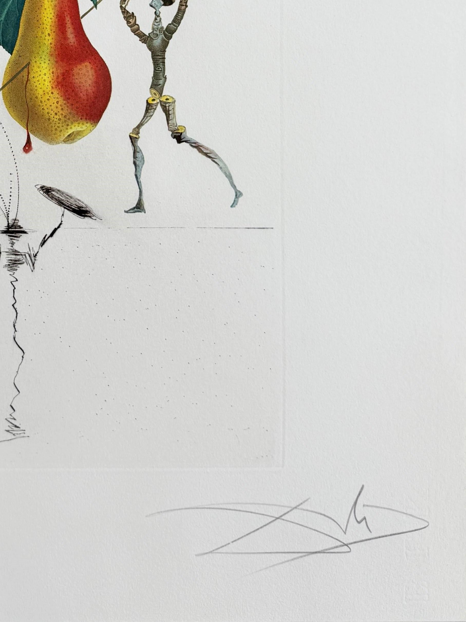 Poire de Don Quichotte de la suite Flordali en vente 1