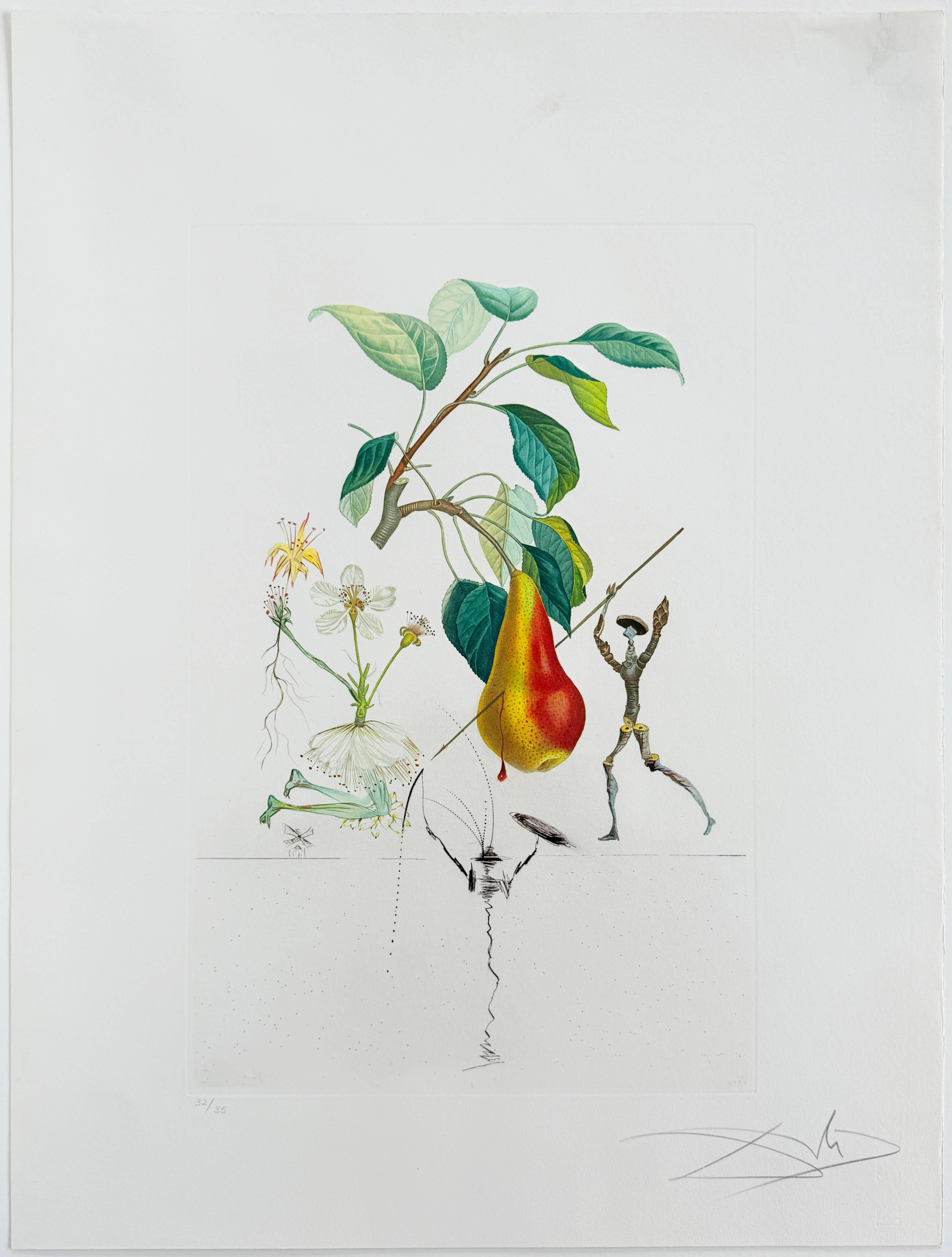 Poire de Don Quichotte de la suite Flordali en vente 2