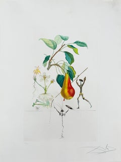 Poire de Don Quichotte de la suite Flordali