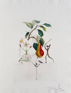 Don Quixote Pear from Flordali suite