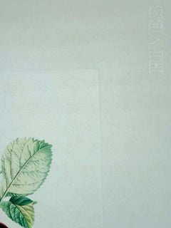 Dragon Apple from Flordali suite