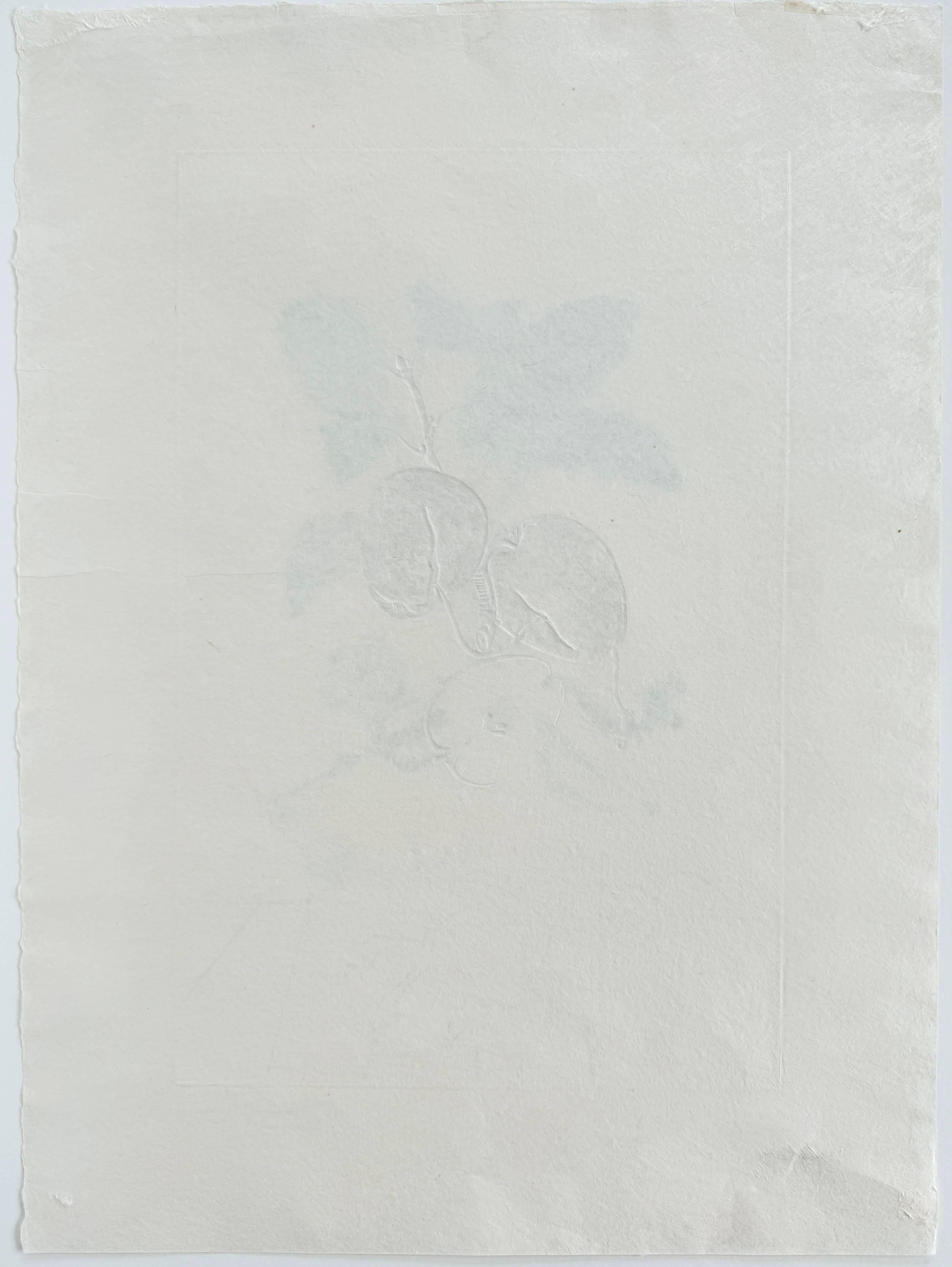 Salvador Dali (1904-1989) - Dragon Apple from Flordali suite

Lithograph with drypoint etching from 1969.

The edition X/XXXV on Japan paper.

Dimensions of work: 74.5 x 54.5 cm.

Hand signed.

Publisher: Werbungs- und Commerz Union