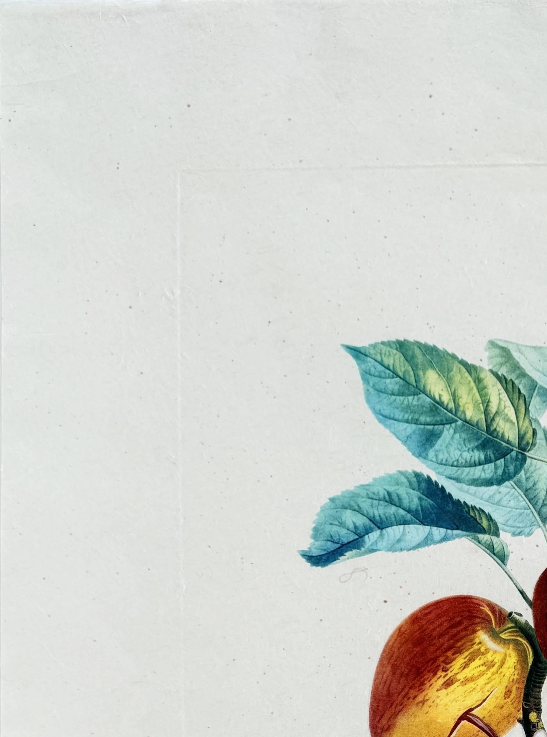 Dragon Apple from Flordali suite For Sale 1