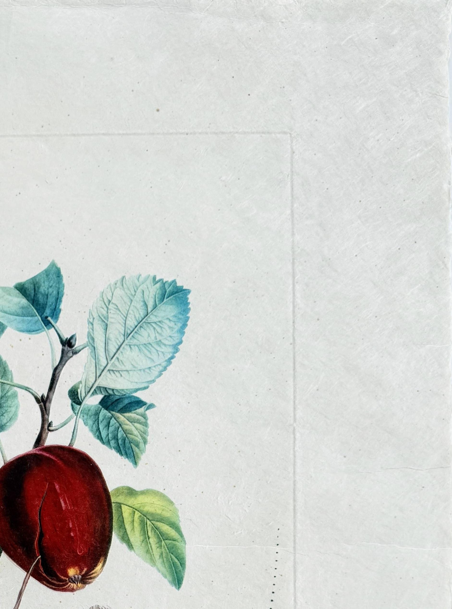 Dragon Apple from Flordali suite For Sale 2