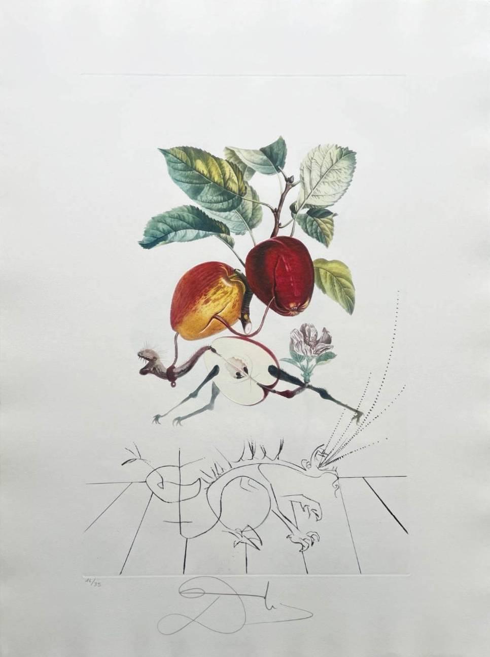 Salvador Dalí Print - Dragon Apple from Flordali suite