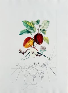 Dragon Apple from Flordali suite