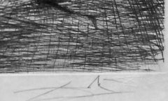 Faust Chevalier a Genou