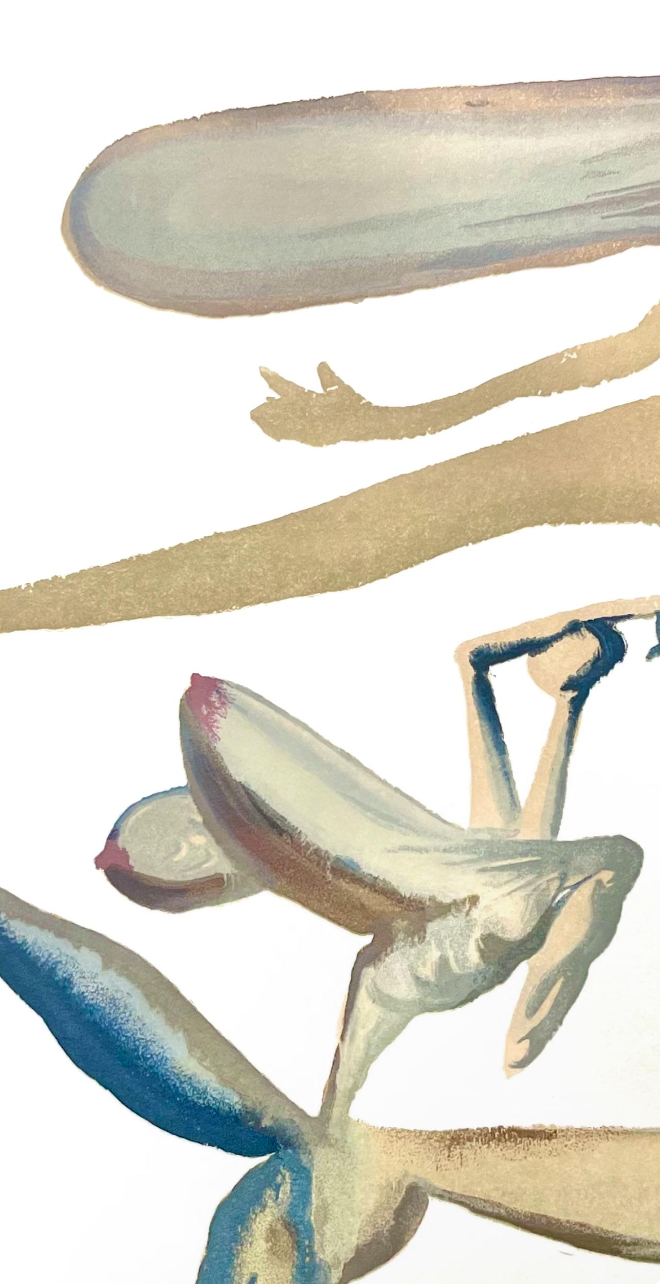 Fegefeuer XXII (Campo 189-200; M/L 1039-1138), Die Göttliche Komödie - Print Surrealista de Salvador Dalí