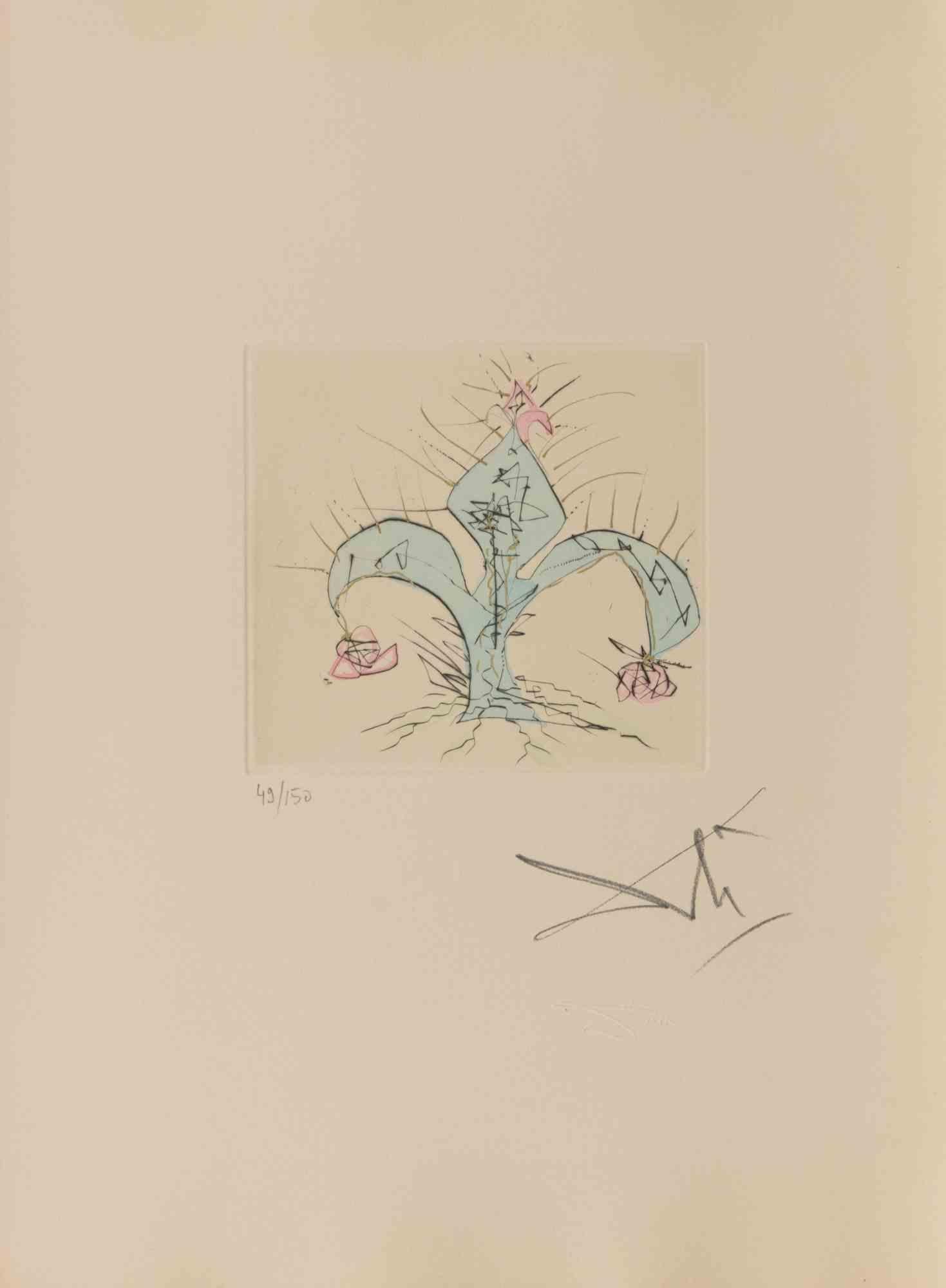 Salvador Dalí Figurative Print - Fleur en Lys - Etching - 1960s