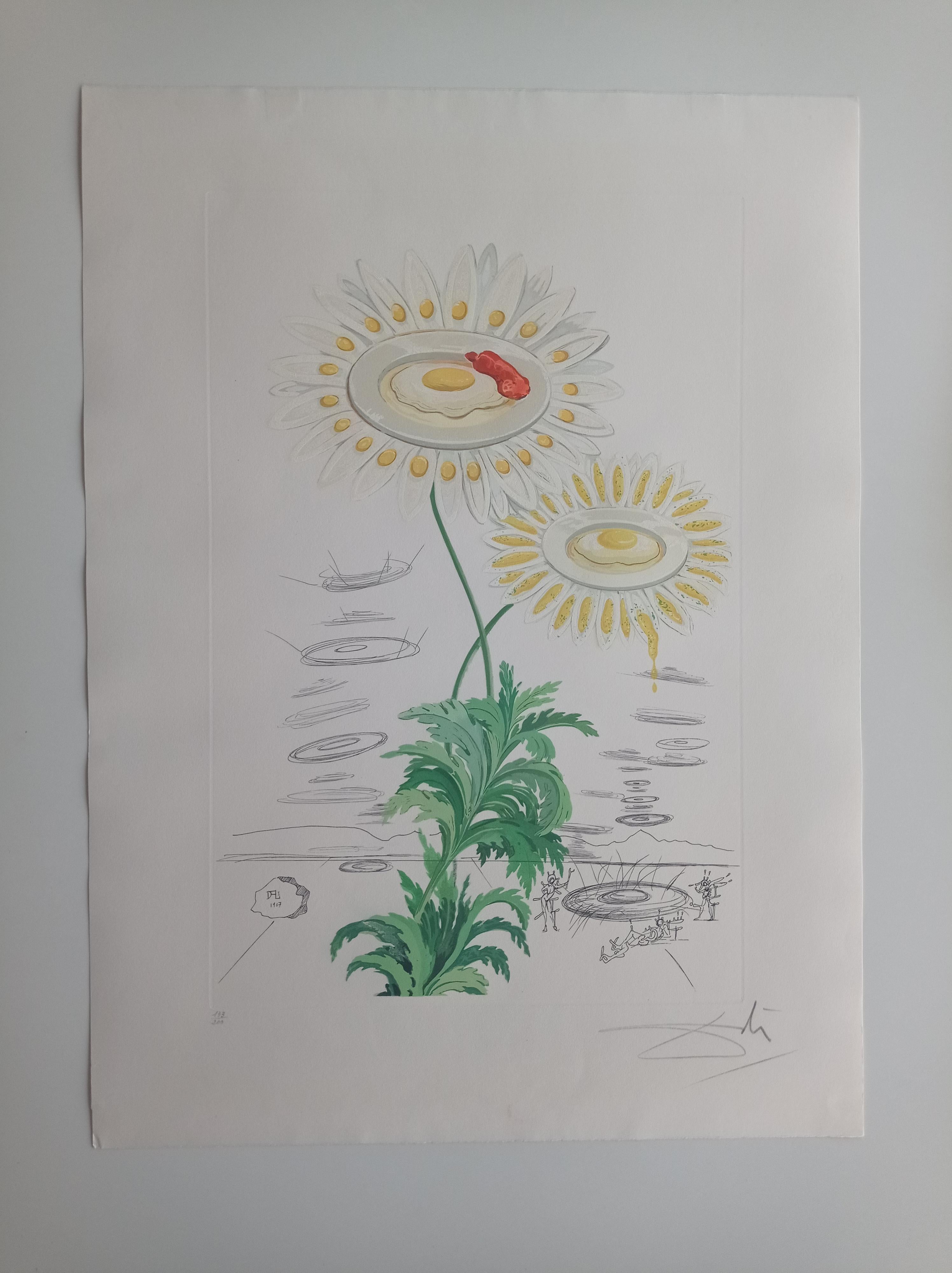 Salvador Dalí Figurative Print - Flora Dalinae - Chrysanthemum Frutescens
