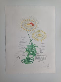 Retro Flora Dalinae - Chrysanthemum Frutescens