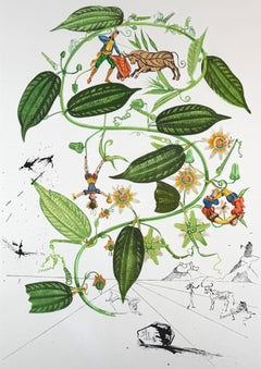 Flora Dalinae Passionflower